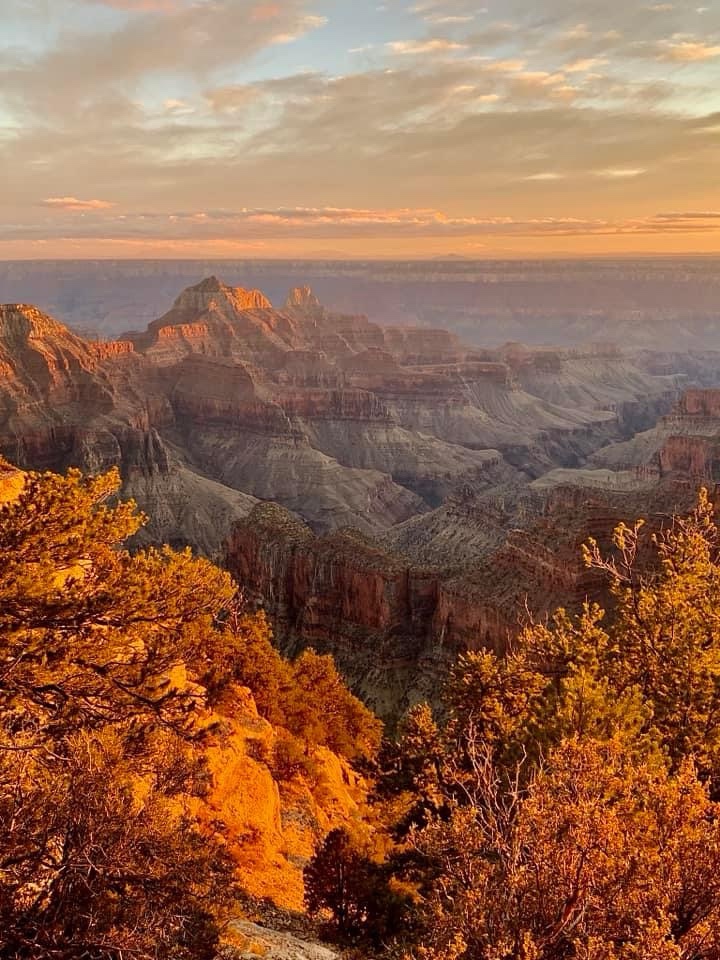 The Majestic Beauty of a Canyon