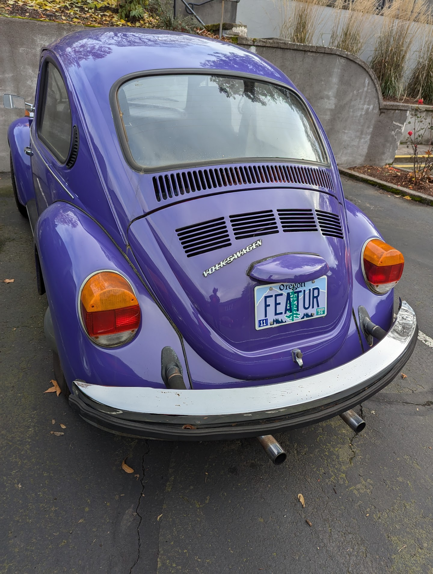 It's Not a Bug, It's a Feature!