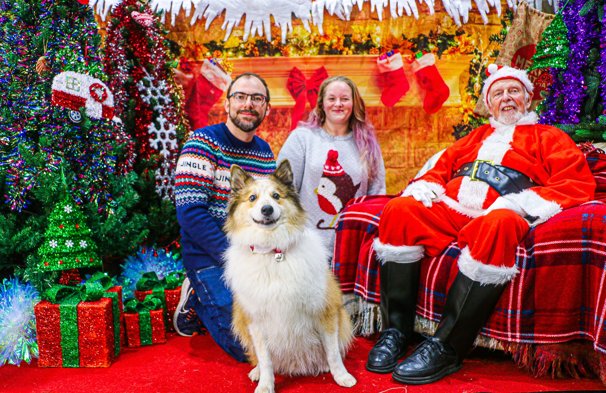 Sending warm Christmas wishes from Rigsy and the crew to Imgur!