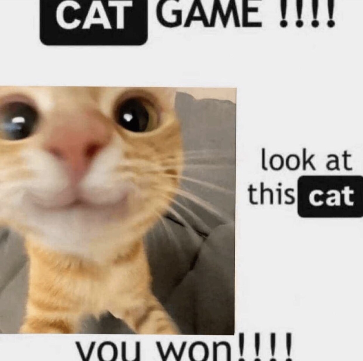 Congratulations, You Did It!