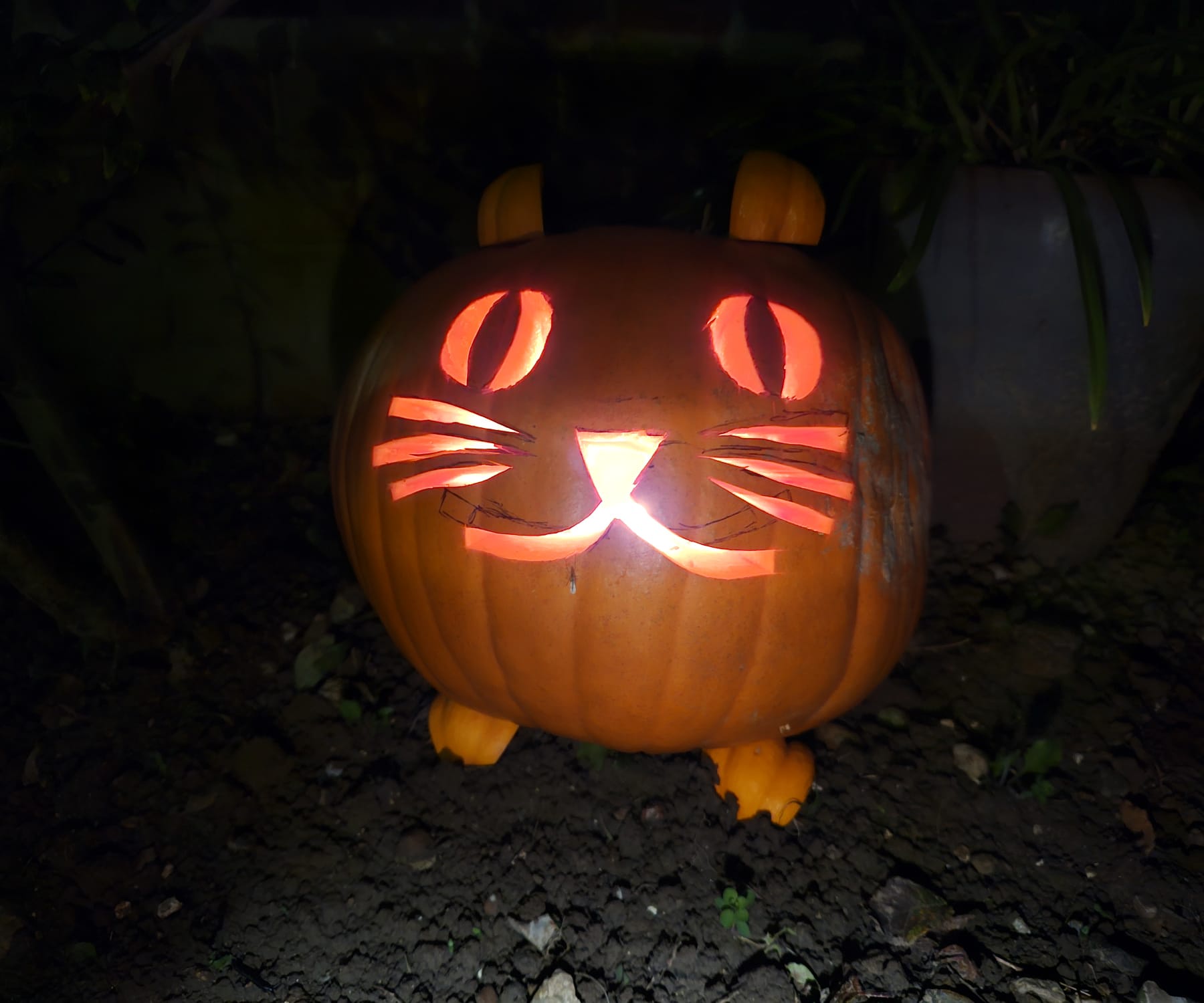 Get Ready for Pumpkin Season 2024!