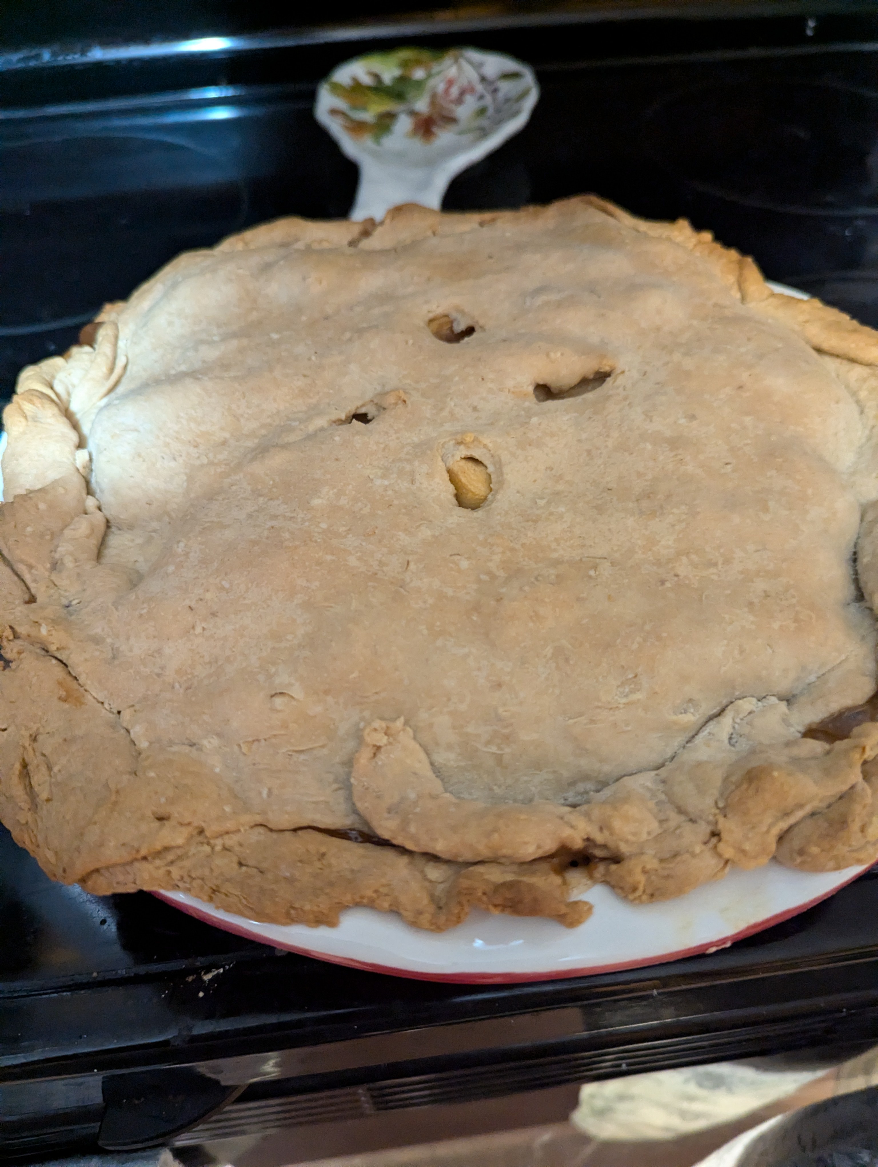I Made My First Pie from Scratch – What Do You Think?