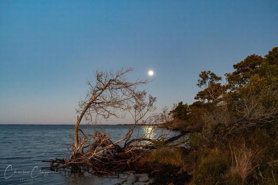 The Enigmatic Glow of the Full Moon