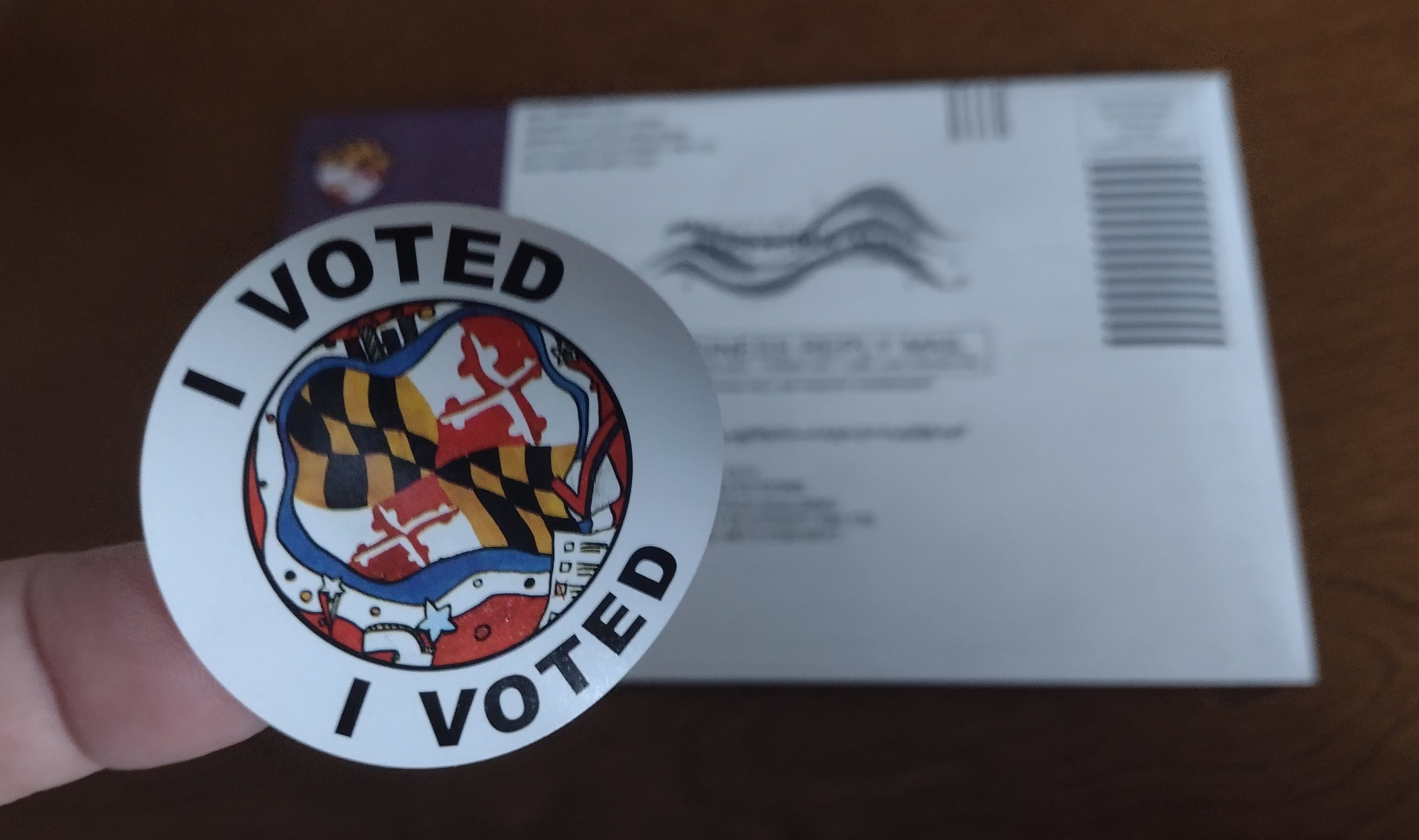 Make Your Voice Heard: Go Vote!