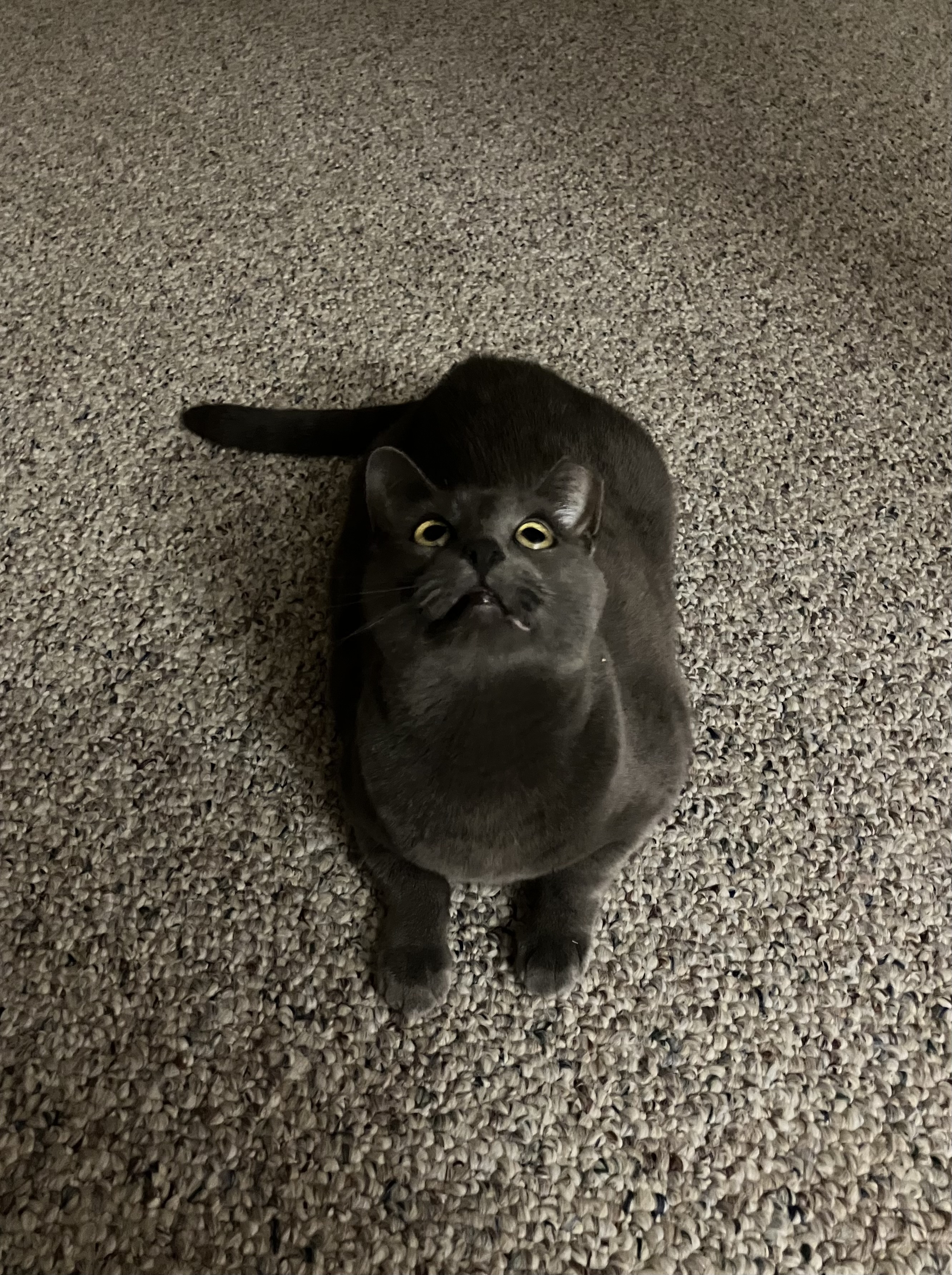Daily Snick Pic #90: A Must-See!