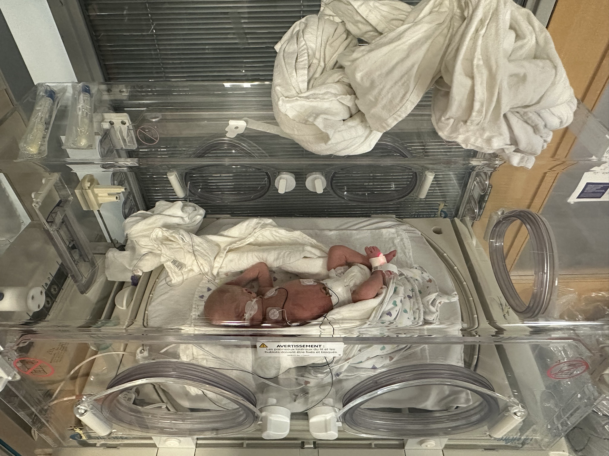Day 8: Relocated to a Nearby Hospital