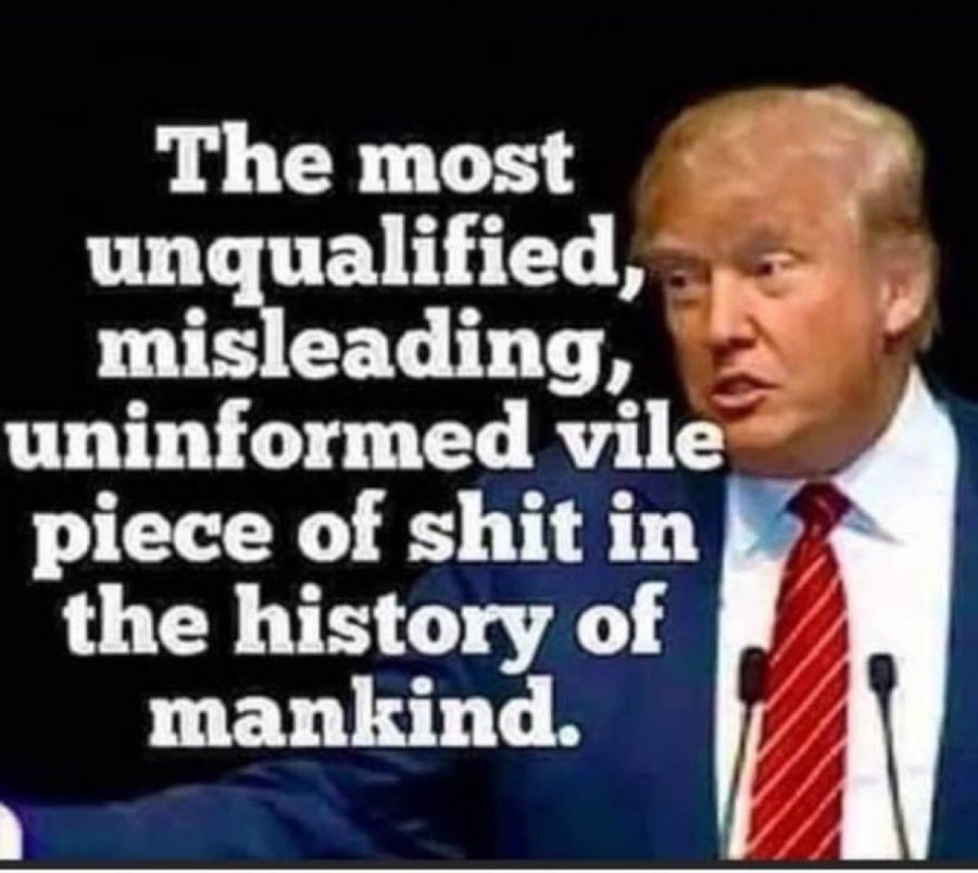 Isn't it interesting how 'EVIL' and 'VILE' share the same letters? After years of disliking Trump, those words come up quite often.