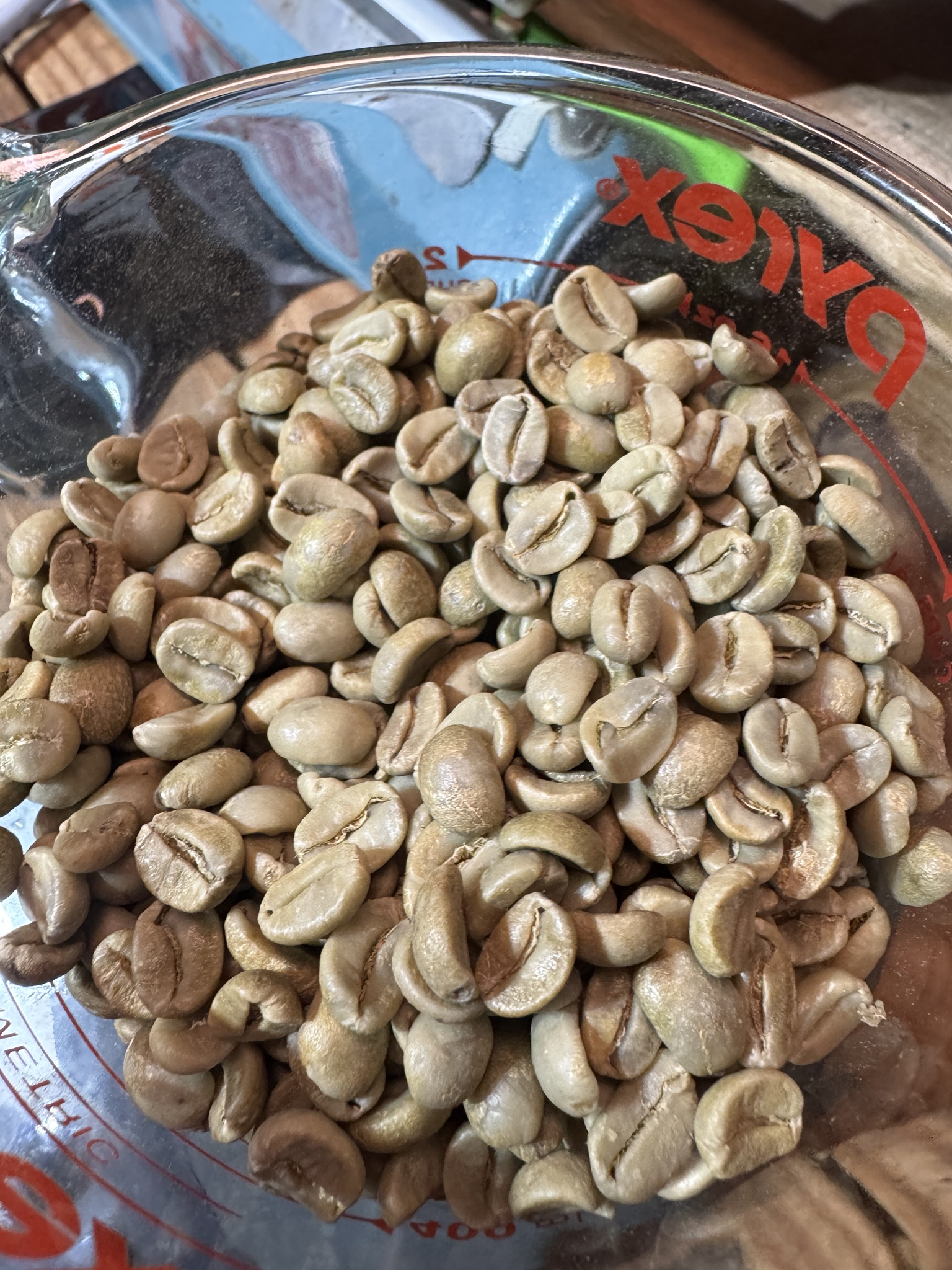 Transformations: Medium Roast Vietnamese Lotus Edition