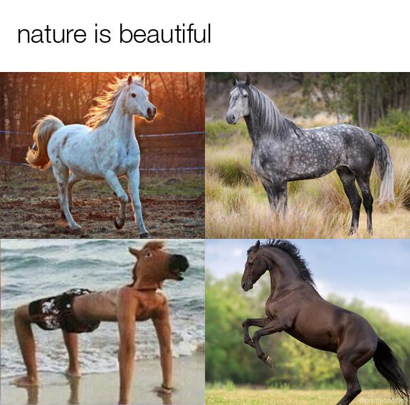 Just a horse.