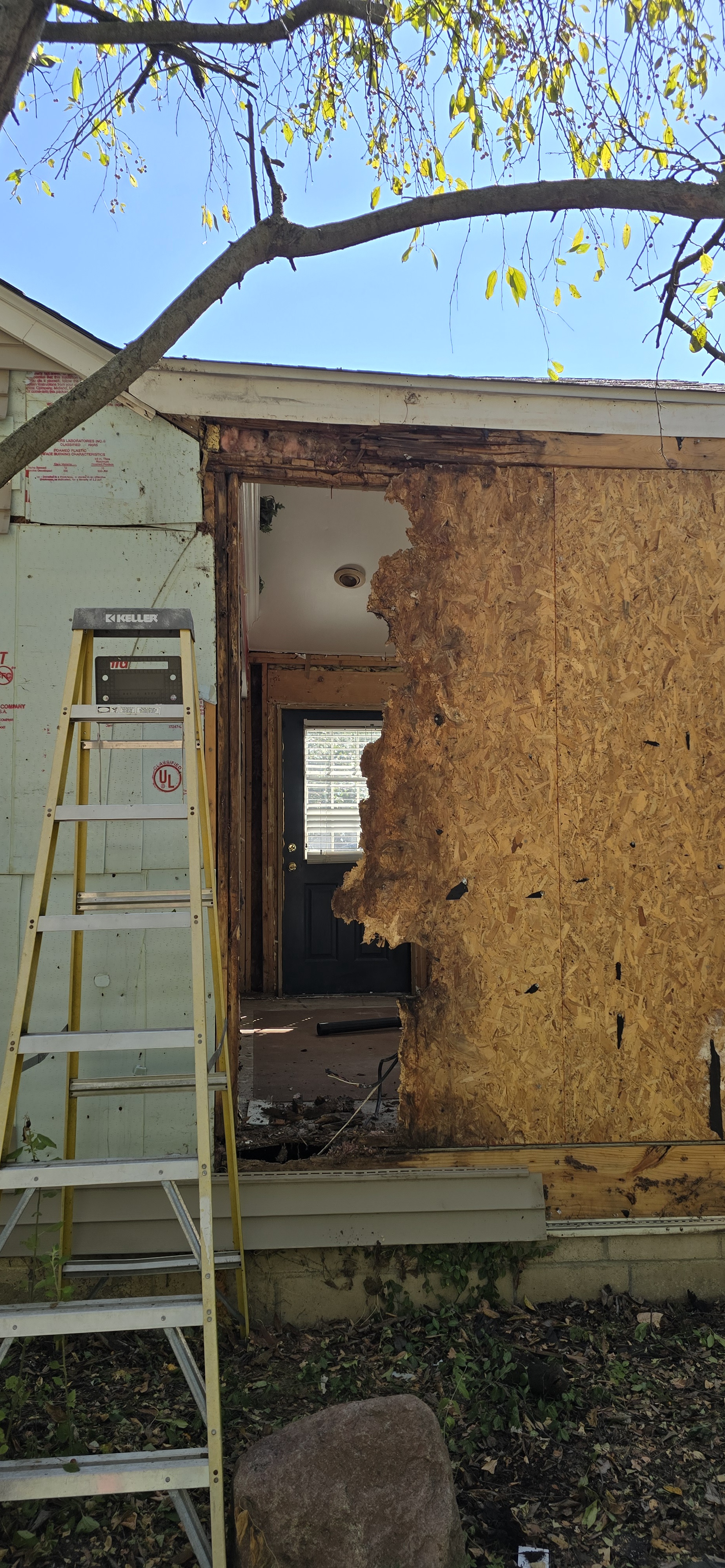 Transforming the Kitchen: Progress on My Remodel Journey