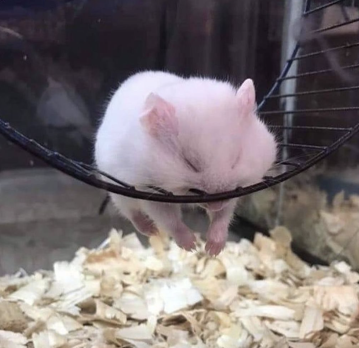 Completely Worn Out