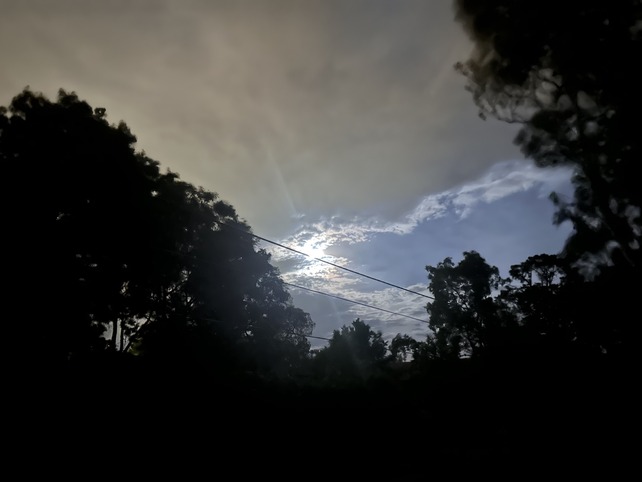 A Perfect Blend of Light and Dark: About 50% Each