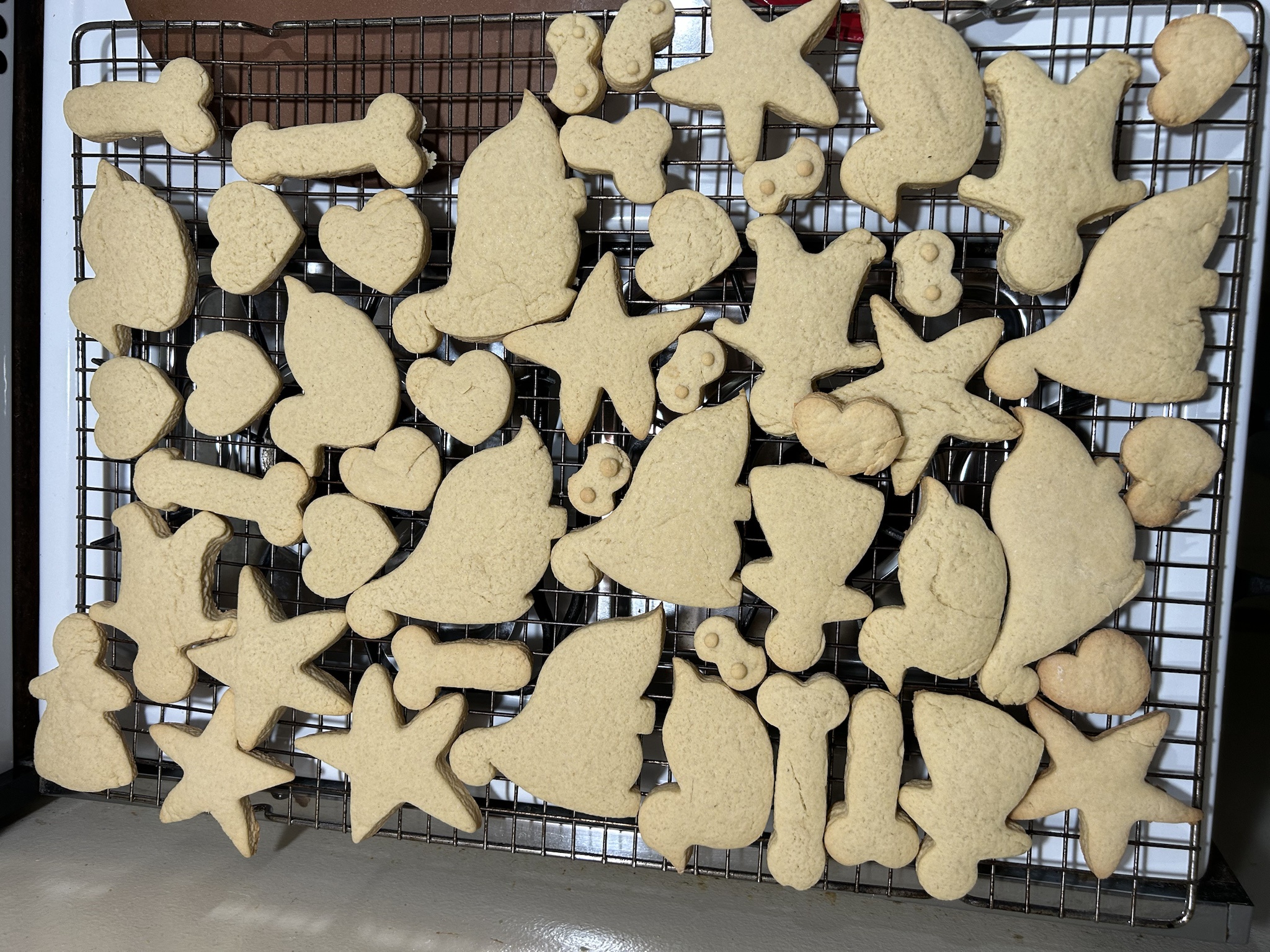 These Cookies Are Uniquely Different: The Elf's Spelling Struggles