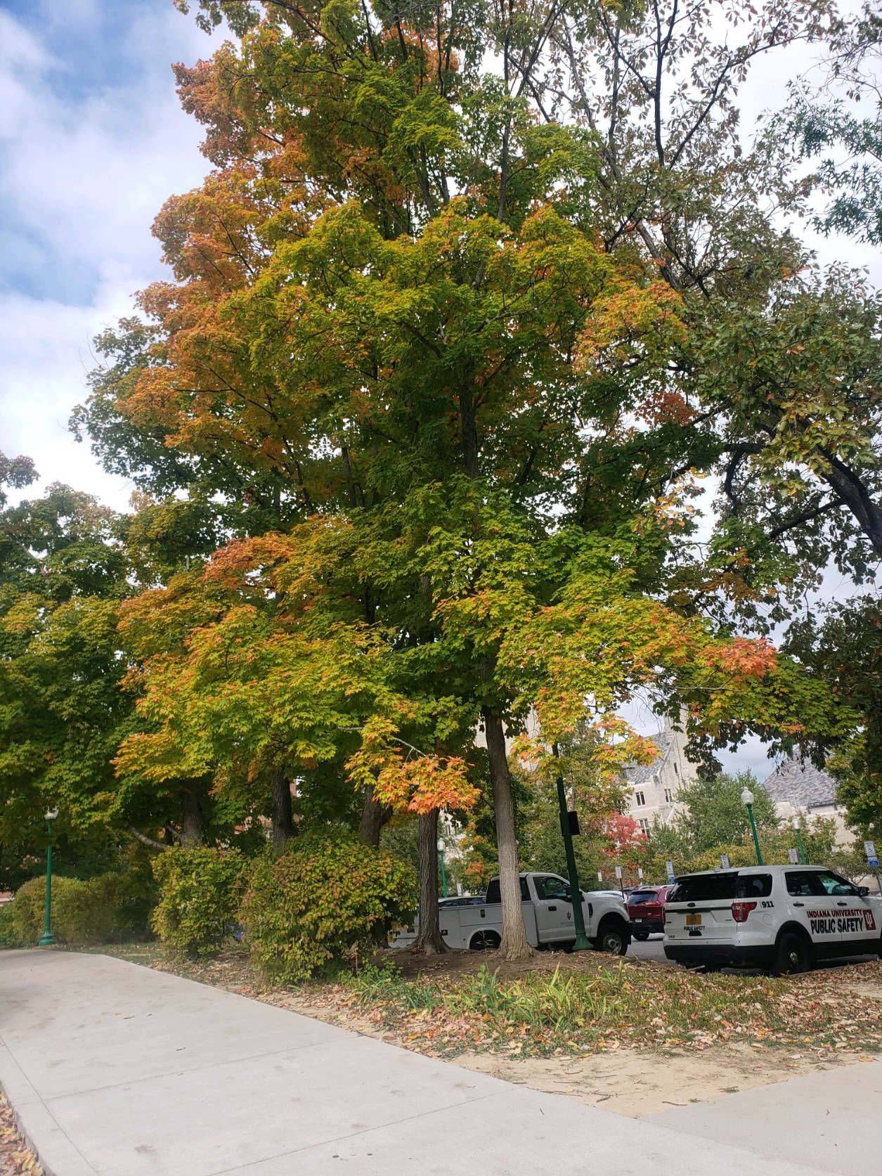 Autumn Vibes Are Here and They're Amazing