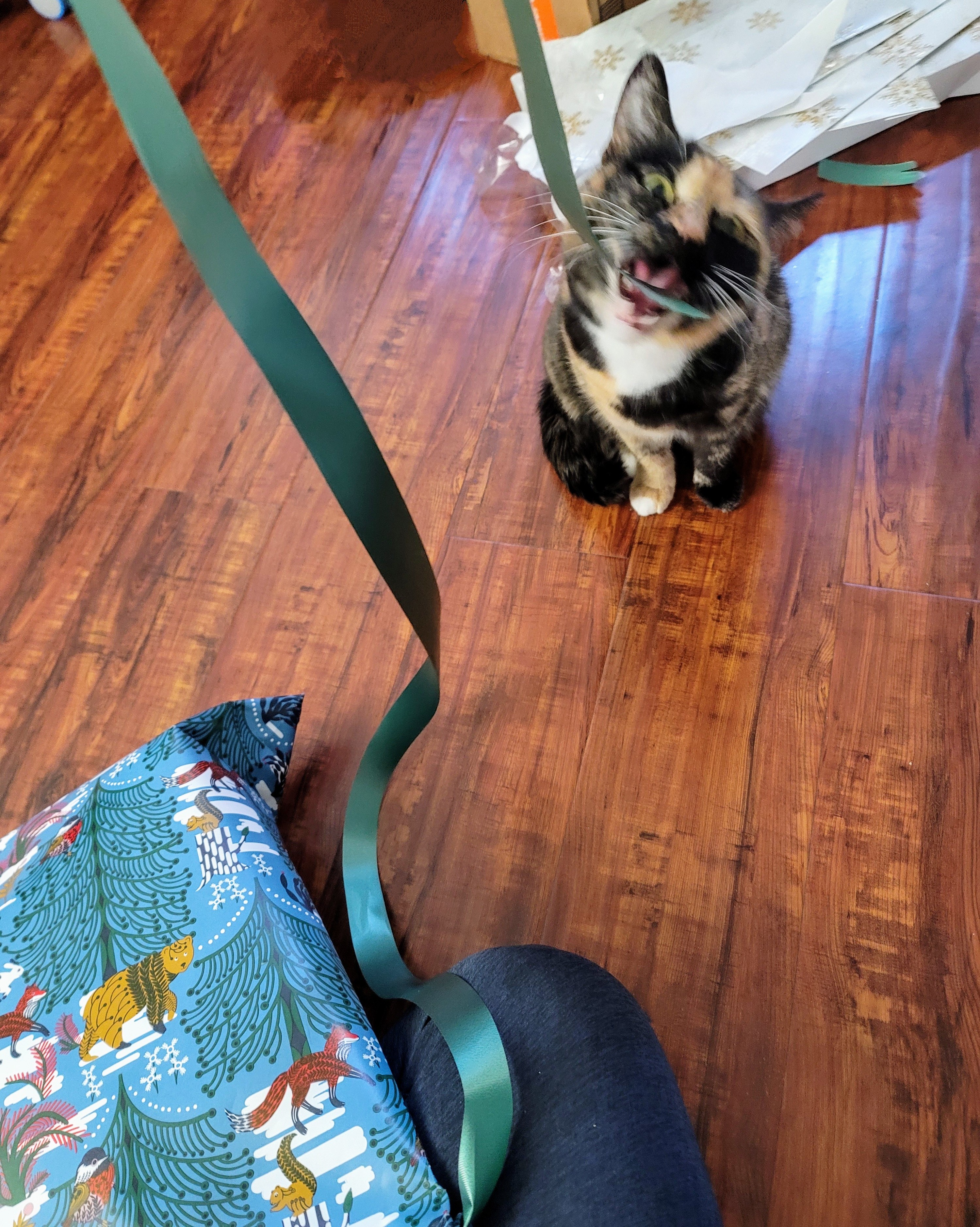 The Ultimate Support: A Great Helper