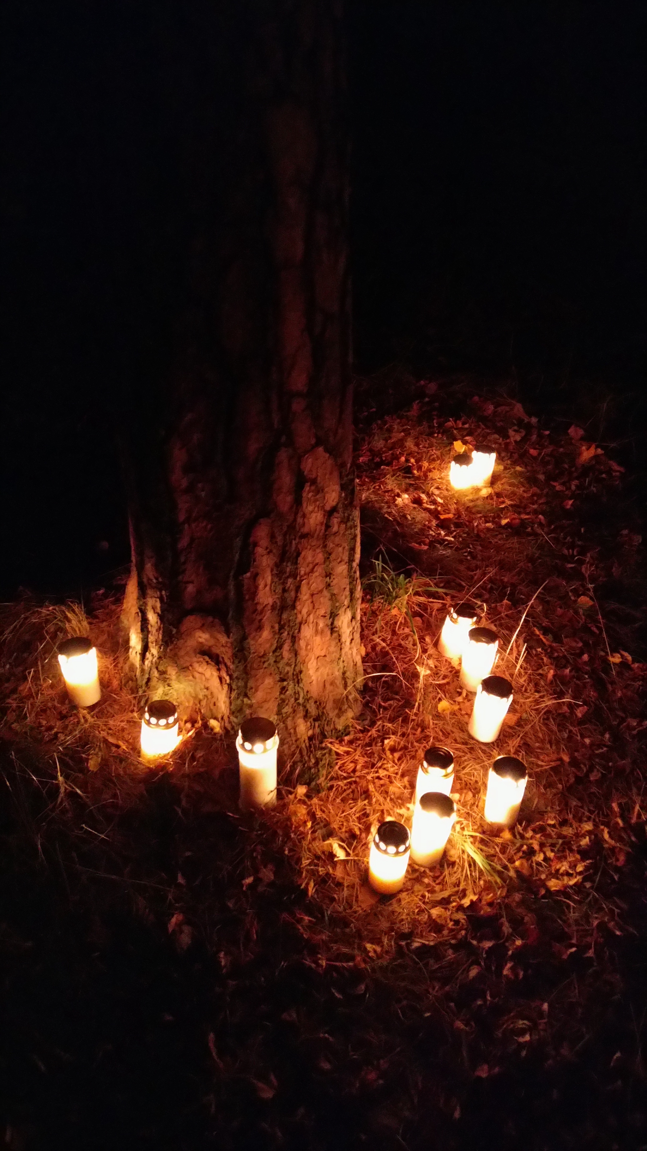 In Memory of Those Who Are No Longer With Us