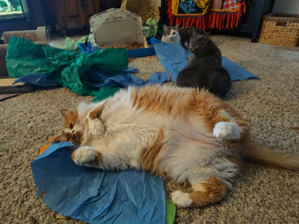 Perseus Triumphs in the Epic Tissue Paper Wars!