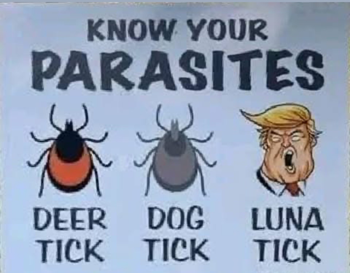 Get to Know Your Parasites: A Must-Read!