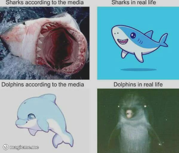 Dive into the Fascinating World of Dolphins