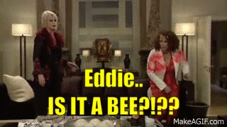 Eddie, is that a bee buzzing around?!