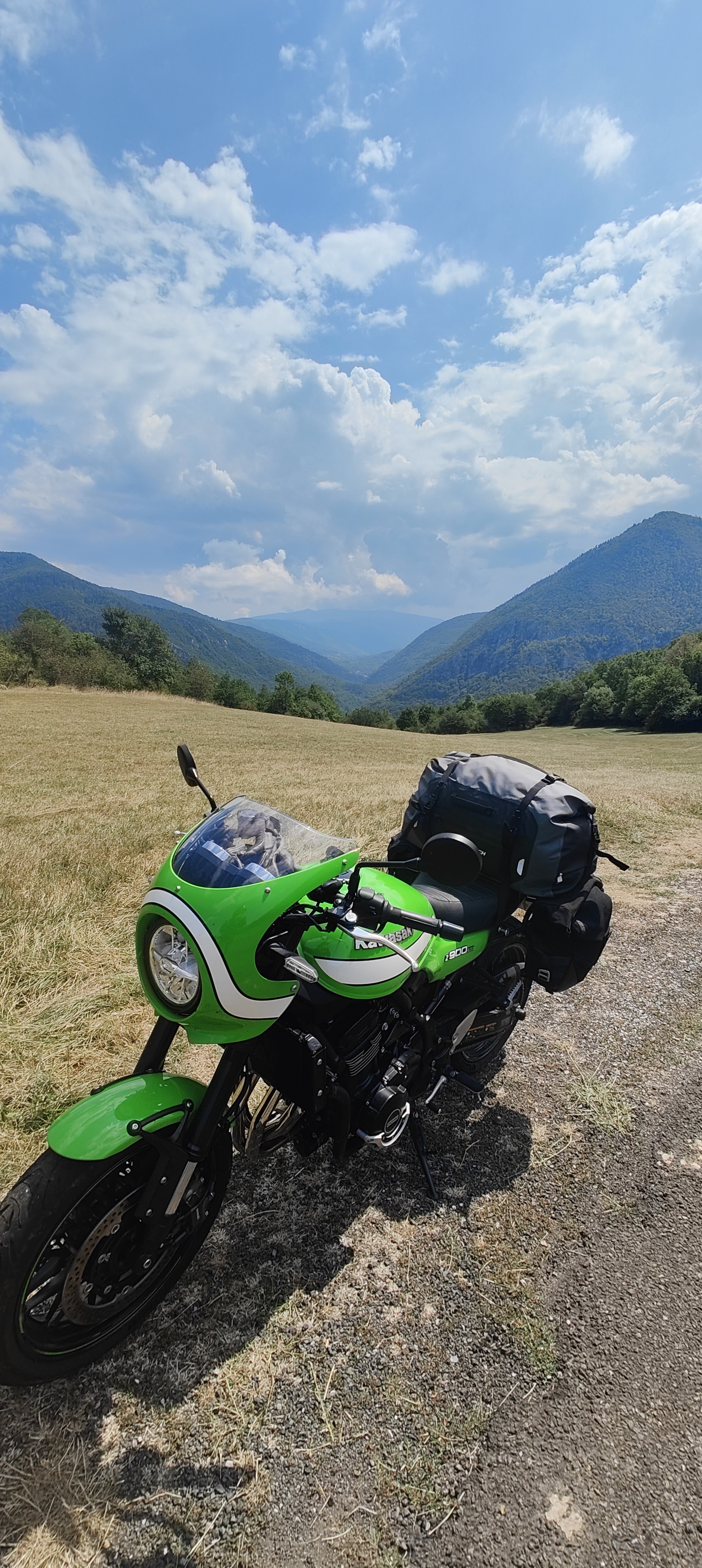 Meet My Green Companion: Always by My Side