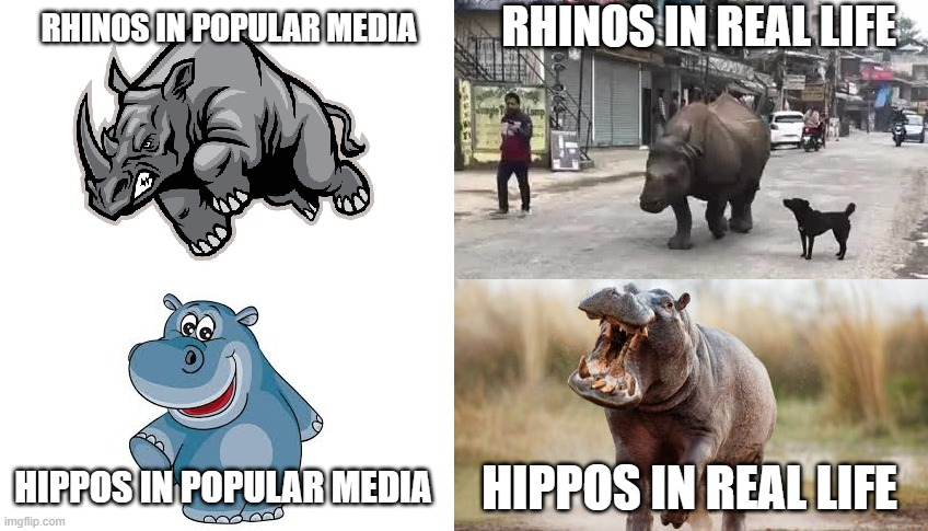 The Epic Showdown: Rhinos vs Hippos