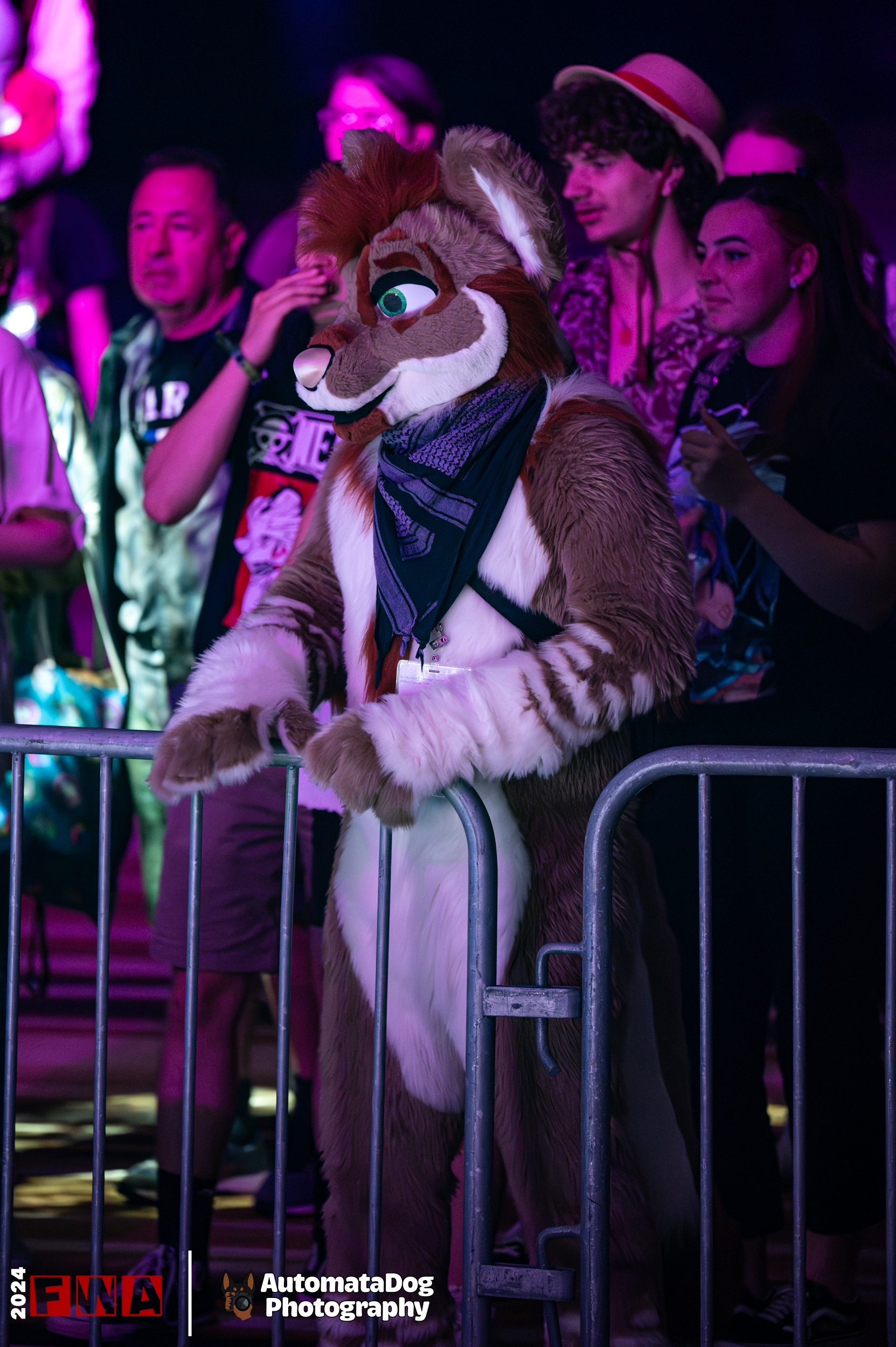 Capturing the furry side of life: Daily photo from a furry photographer - Day 397
