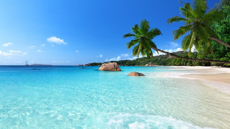 Sunny Beach Vibes