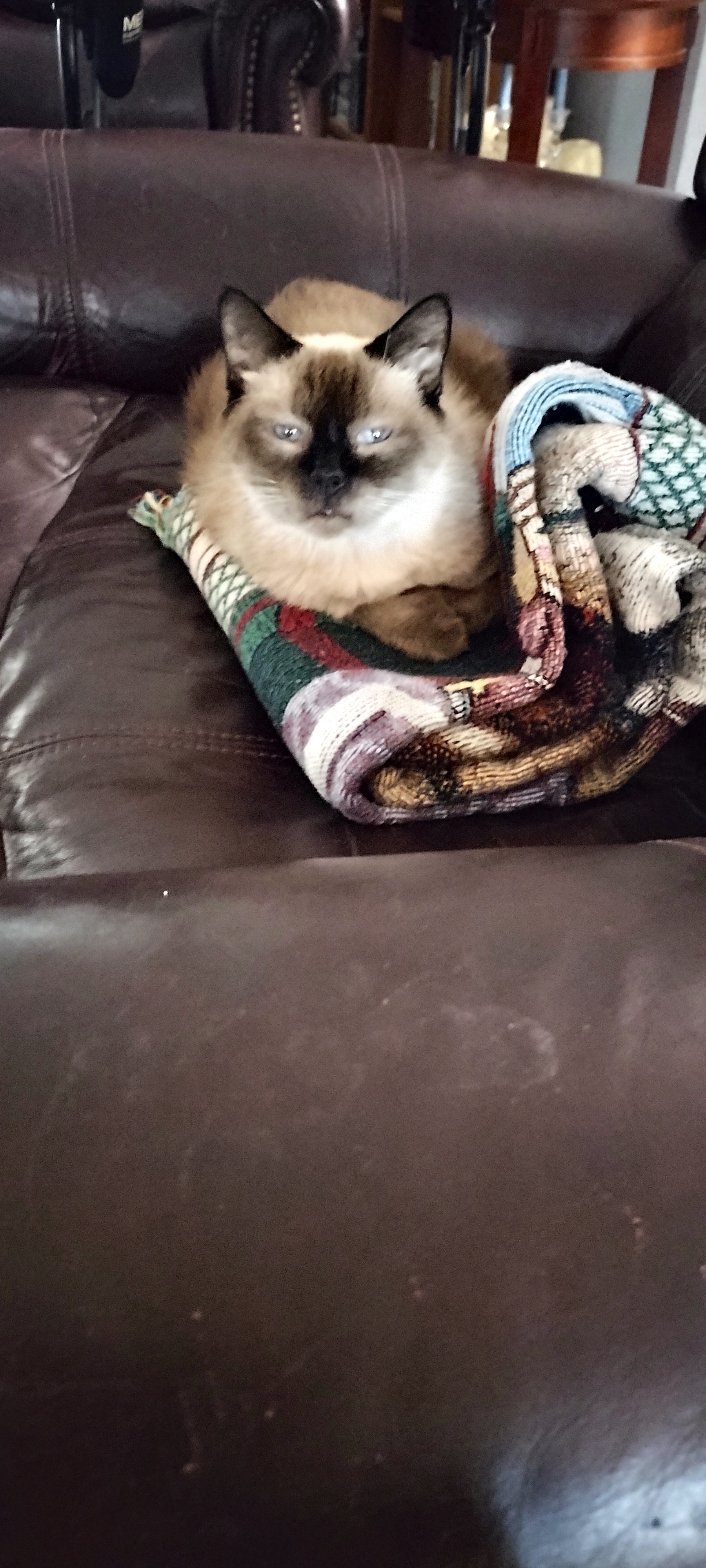 This Chair is All Mine!