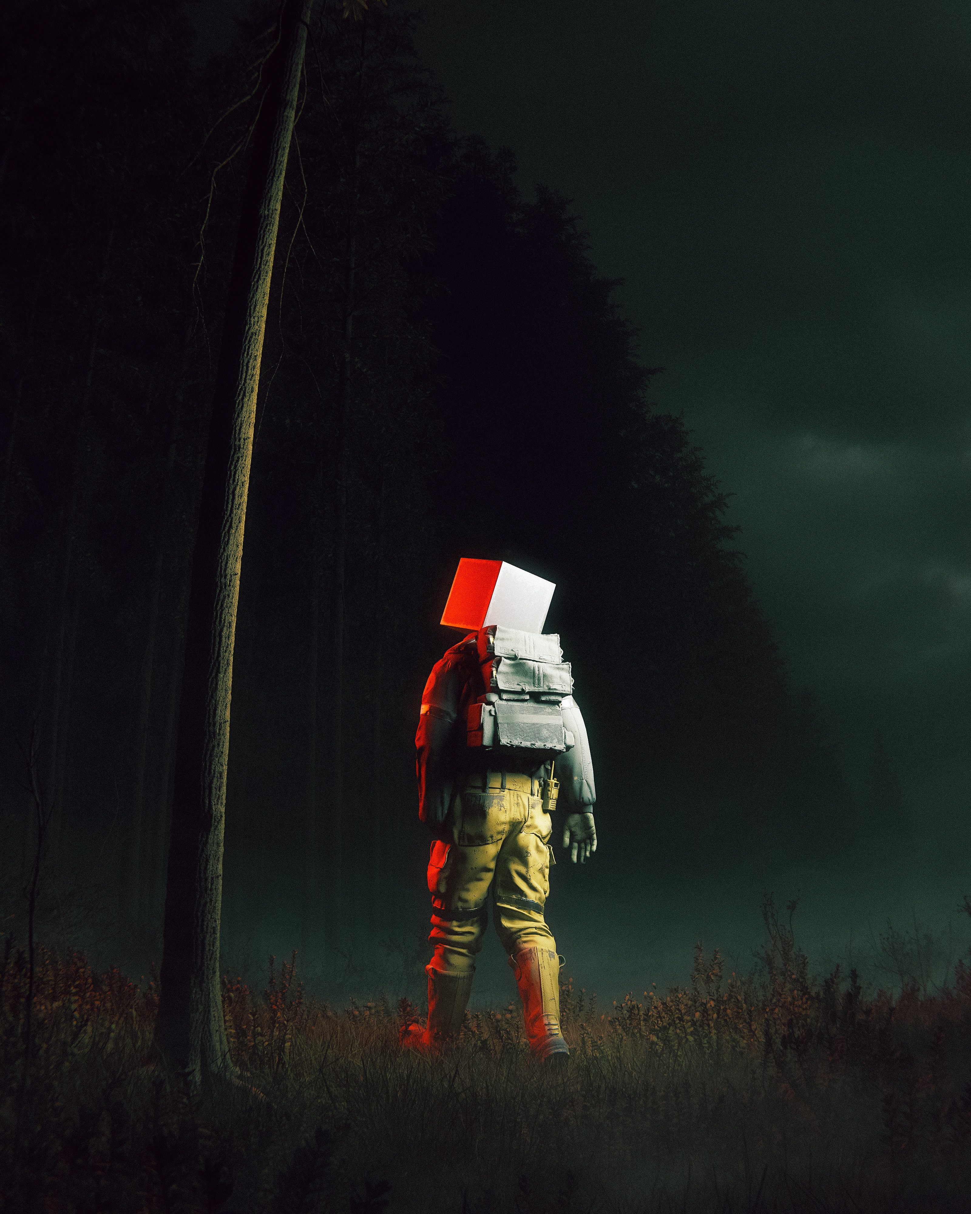The Enchanting Tale of the Pine Forest by Huleeb