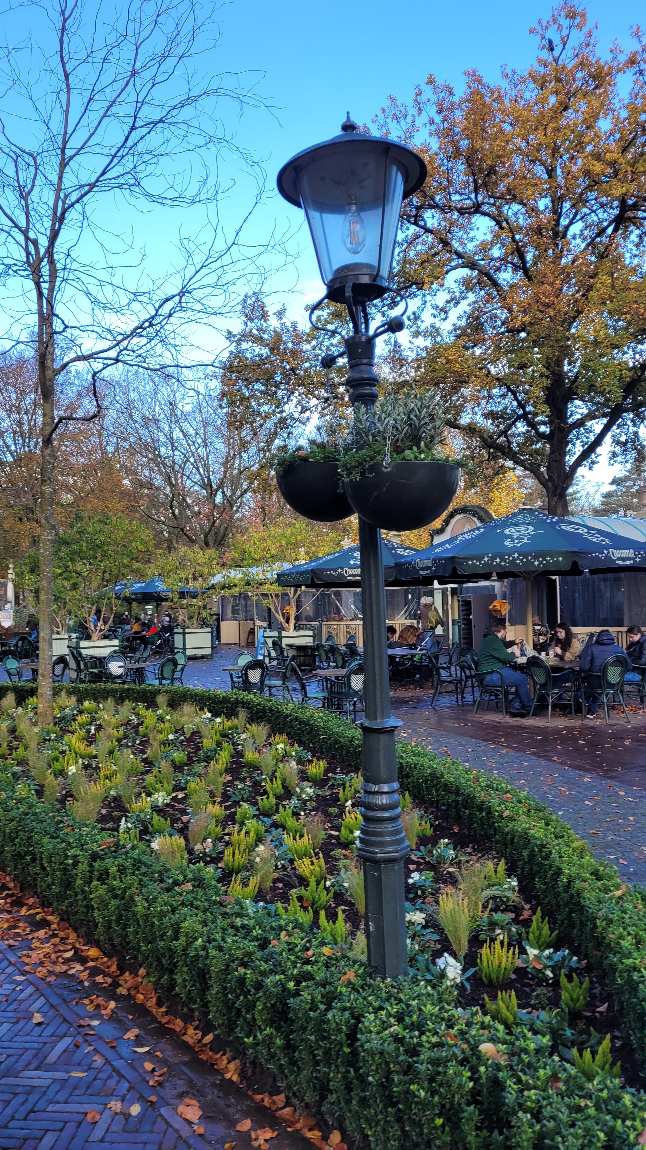 Magical Lights in Efteling: A Glimpse of Marerijk's Enchantment