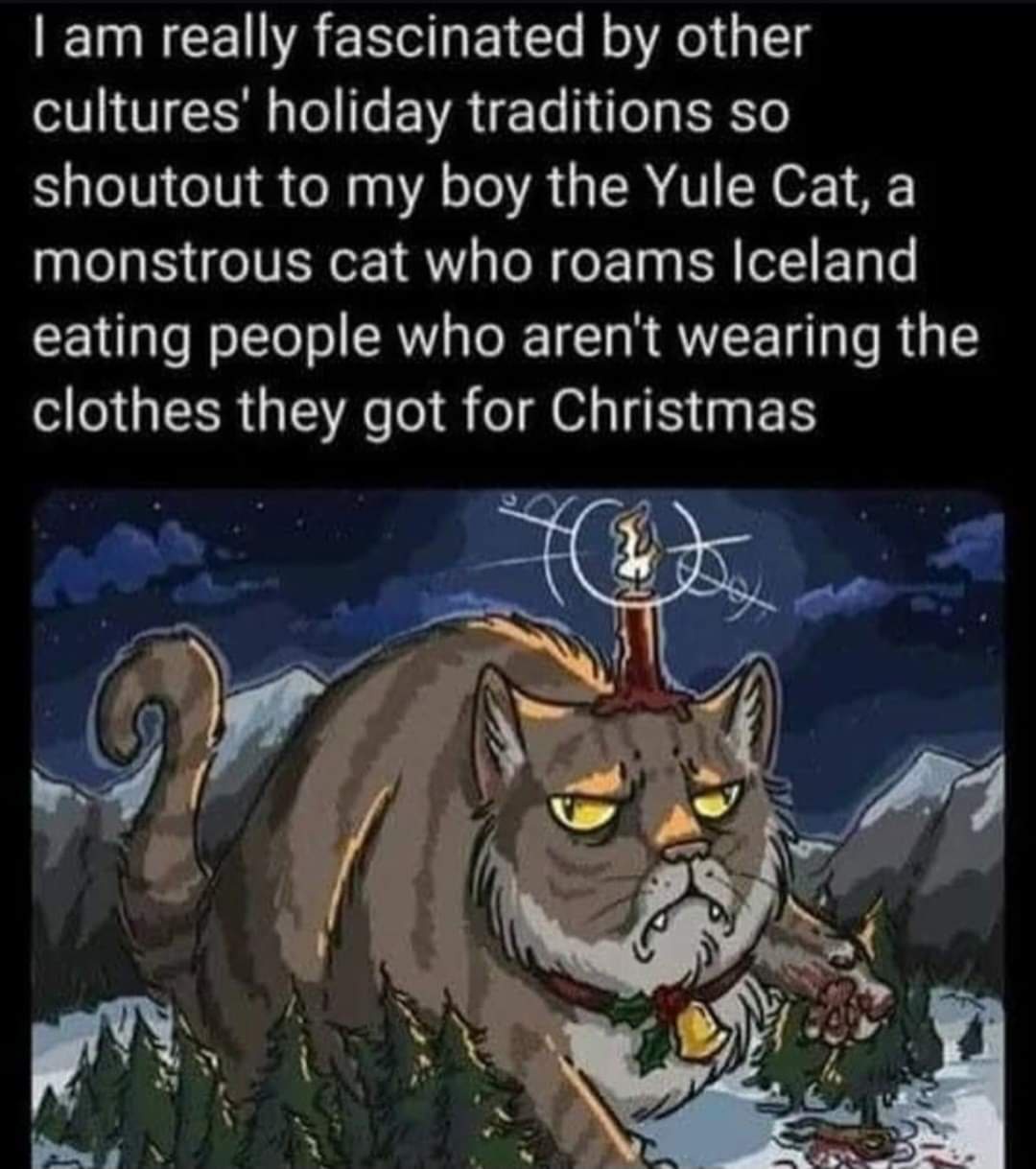 I just want to cuddle the Yule Cat!