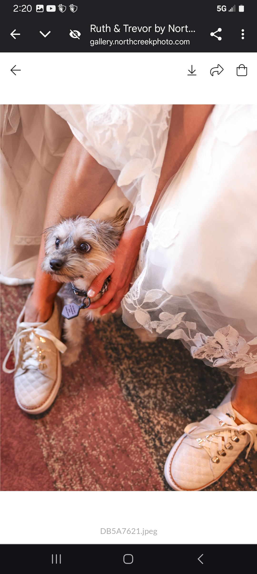 Alfie is the Best Assistant for Mom's Wedding Prep!