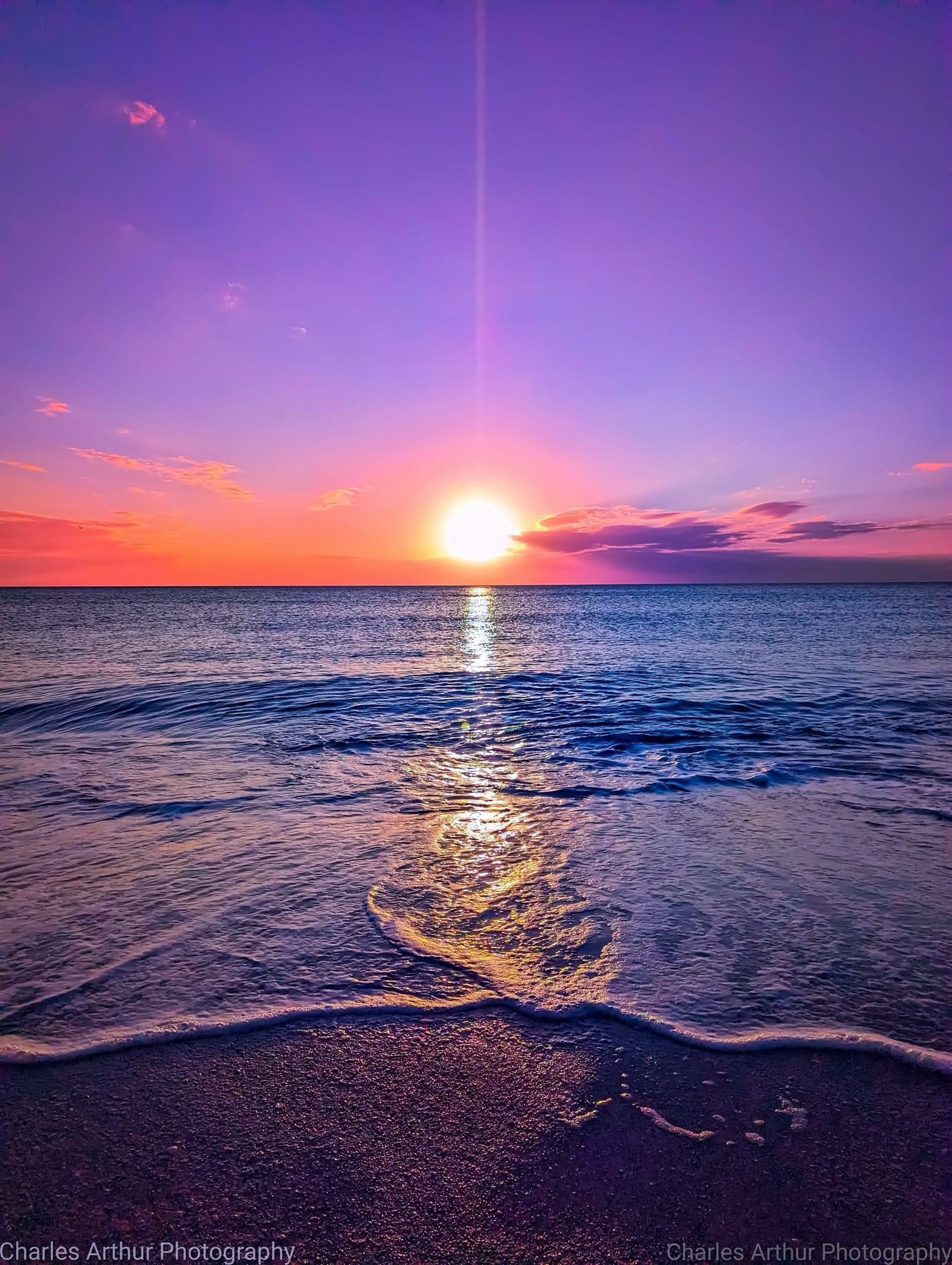 Living the Dream: Beach Life Adventures