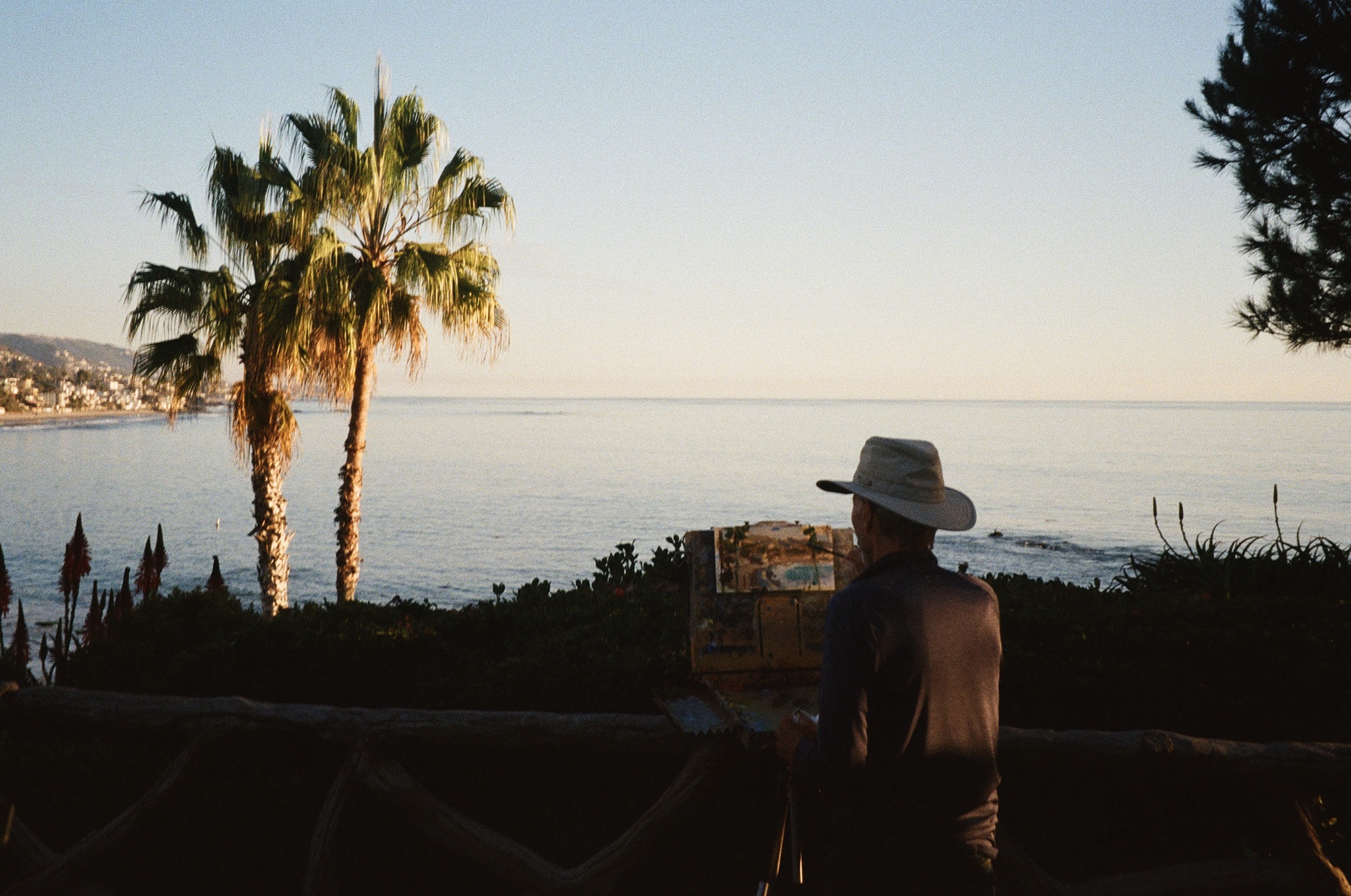 Capturing Moments: 35mm Film in Laguna Beach, CA, 11/24