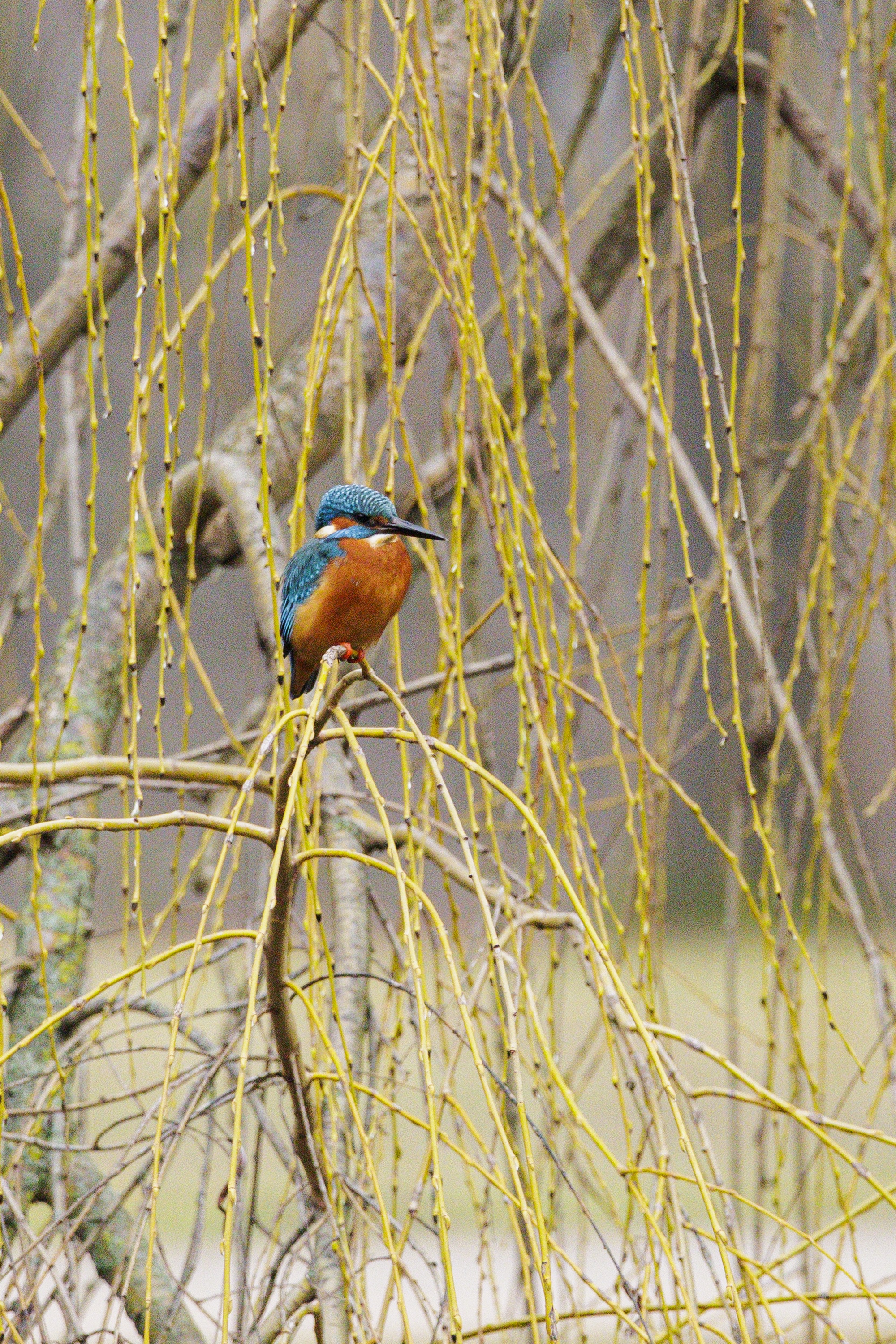 Nature Moment #67: Enjoying a Saturday Stroll in the Park