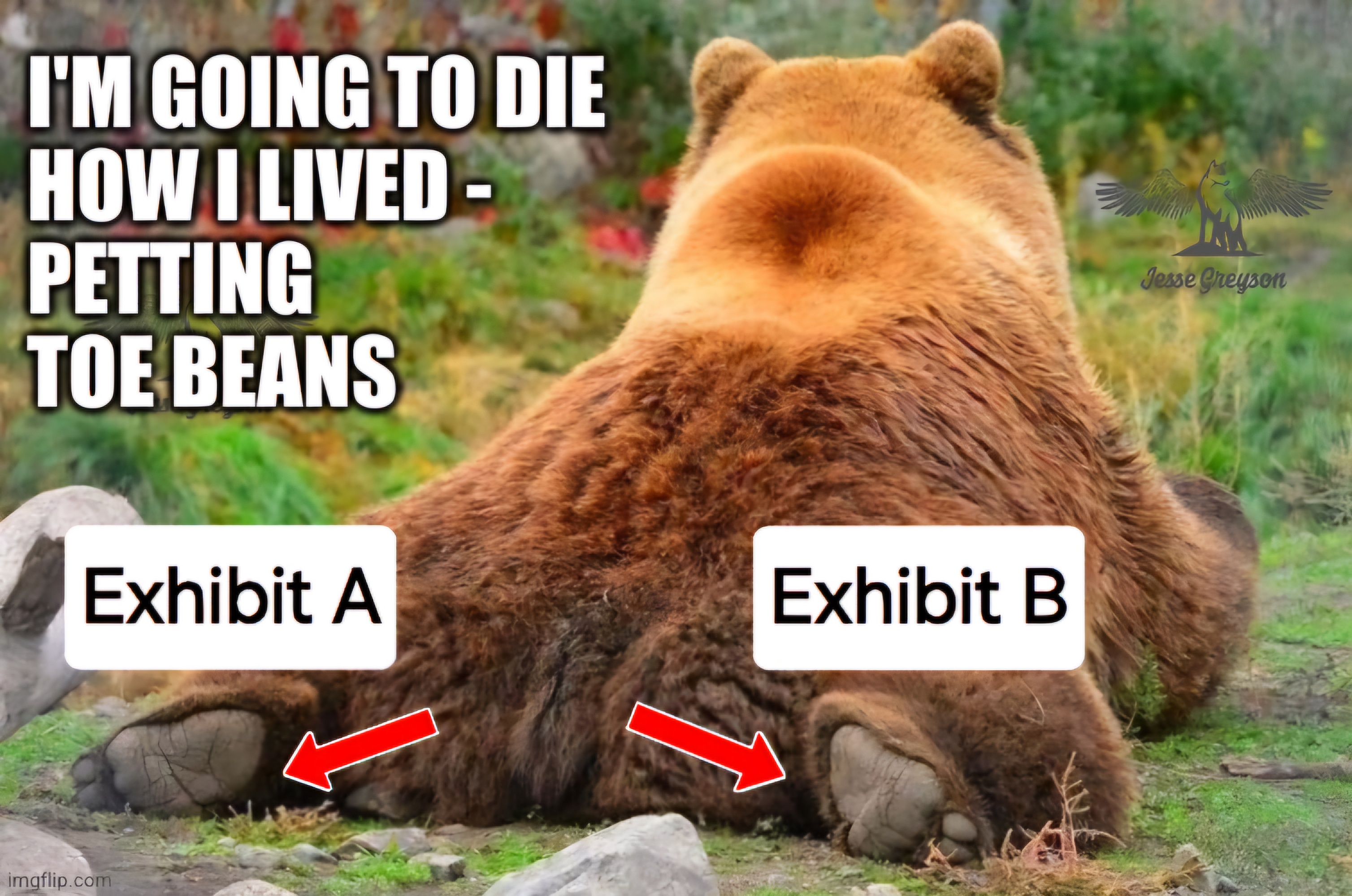 A collection of repackaged memes (and a little dog tax too!)
