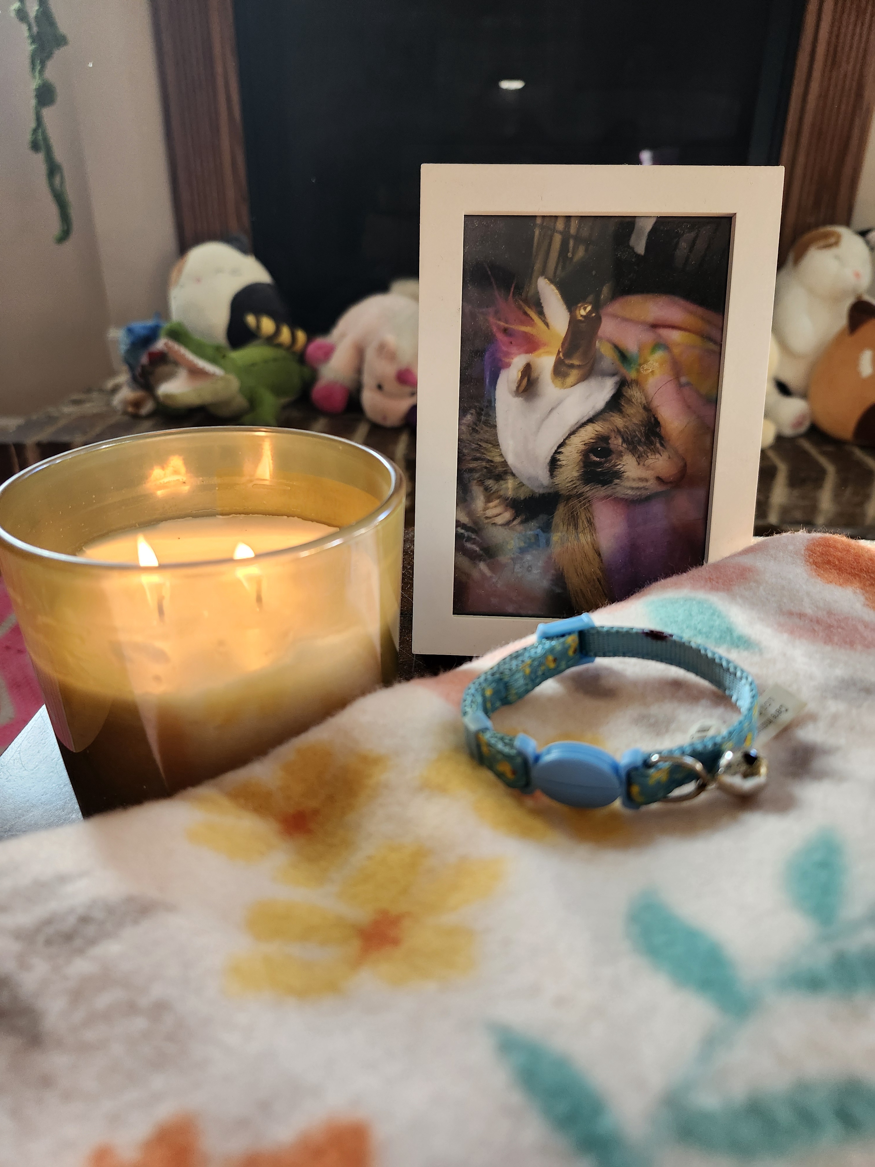 Light a Candle for Jack: A Tribute