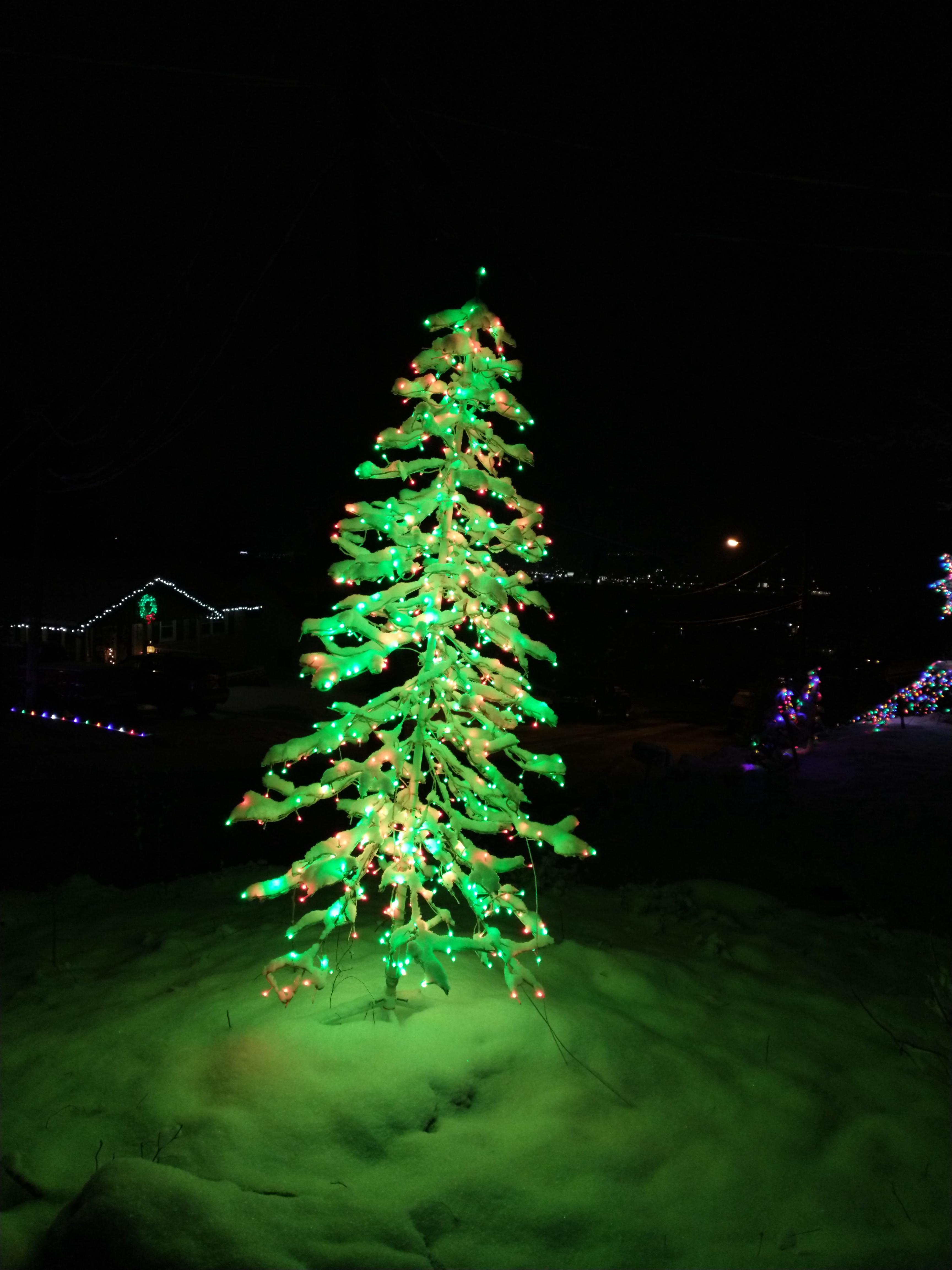 A Magical Snowy Tree Illuminated by Light