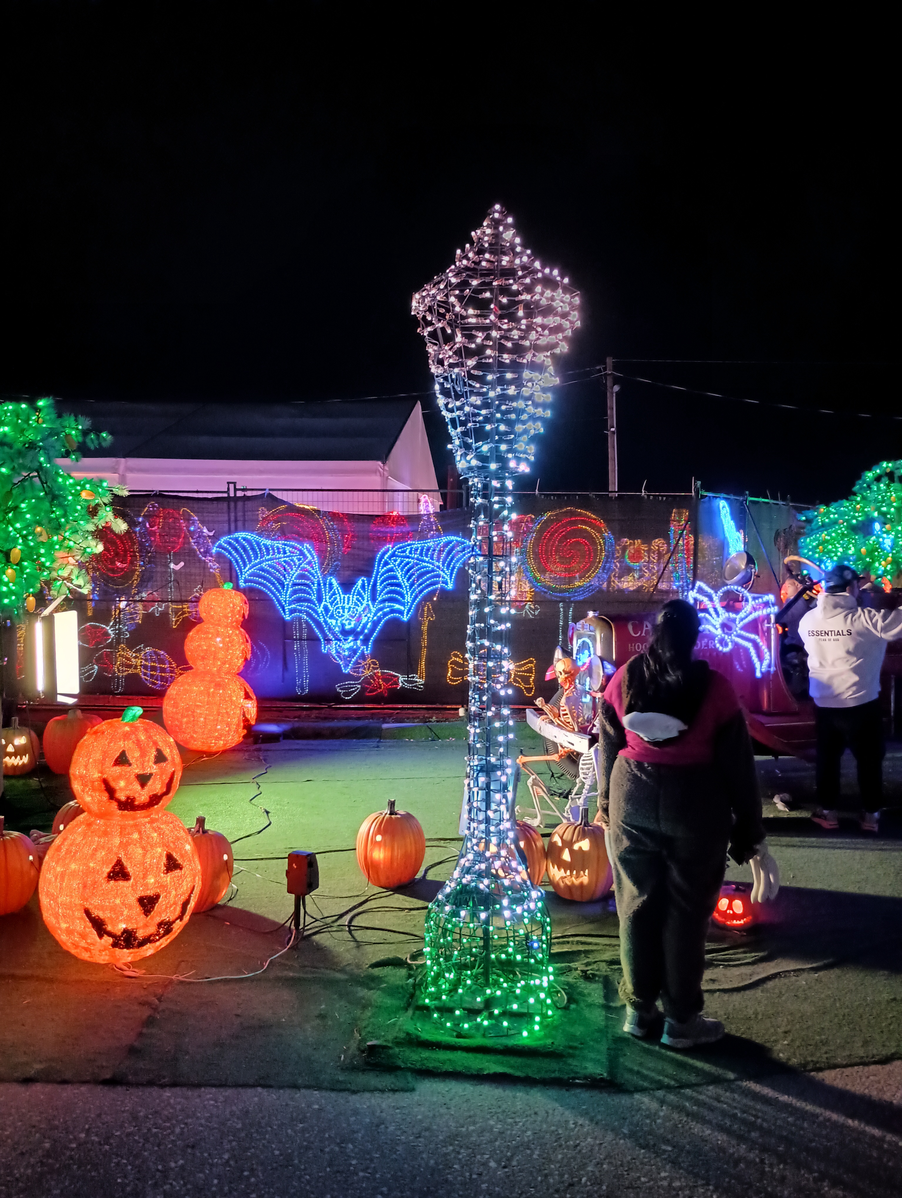 Exploring the Enchantment of the Light Garden