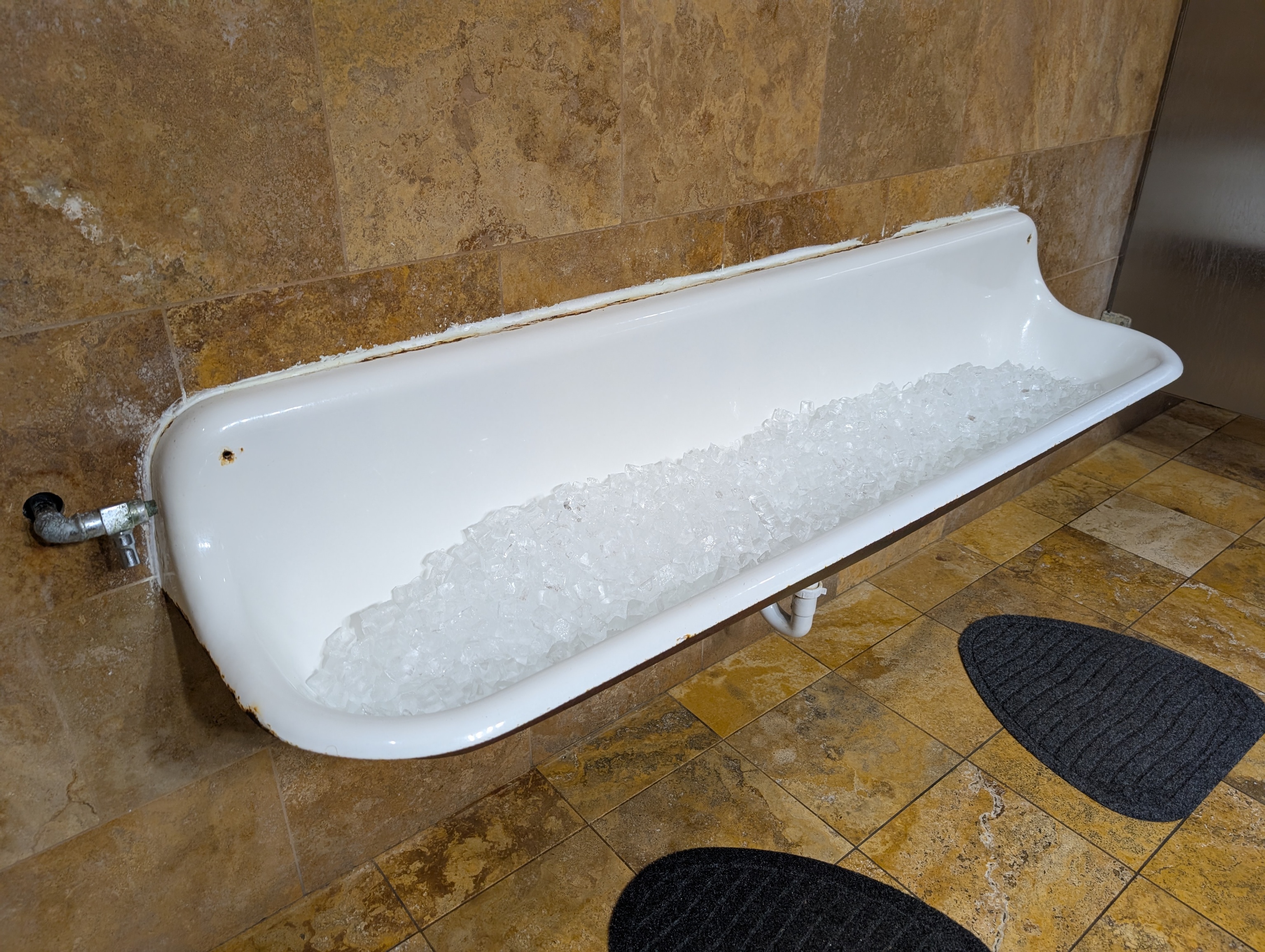 If you're not peeing outside like nature intended, this alternative is pretty awesome!