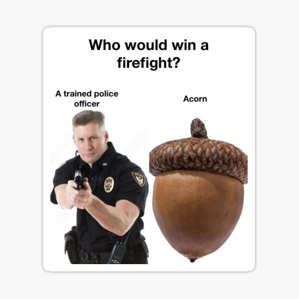 A Little Acorn Love for Team Acorn