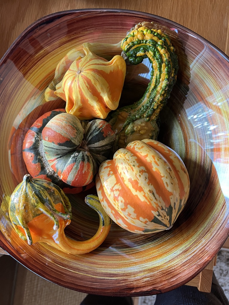 The Vibrant Colors of Fall