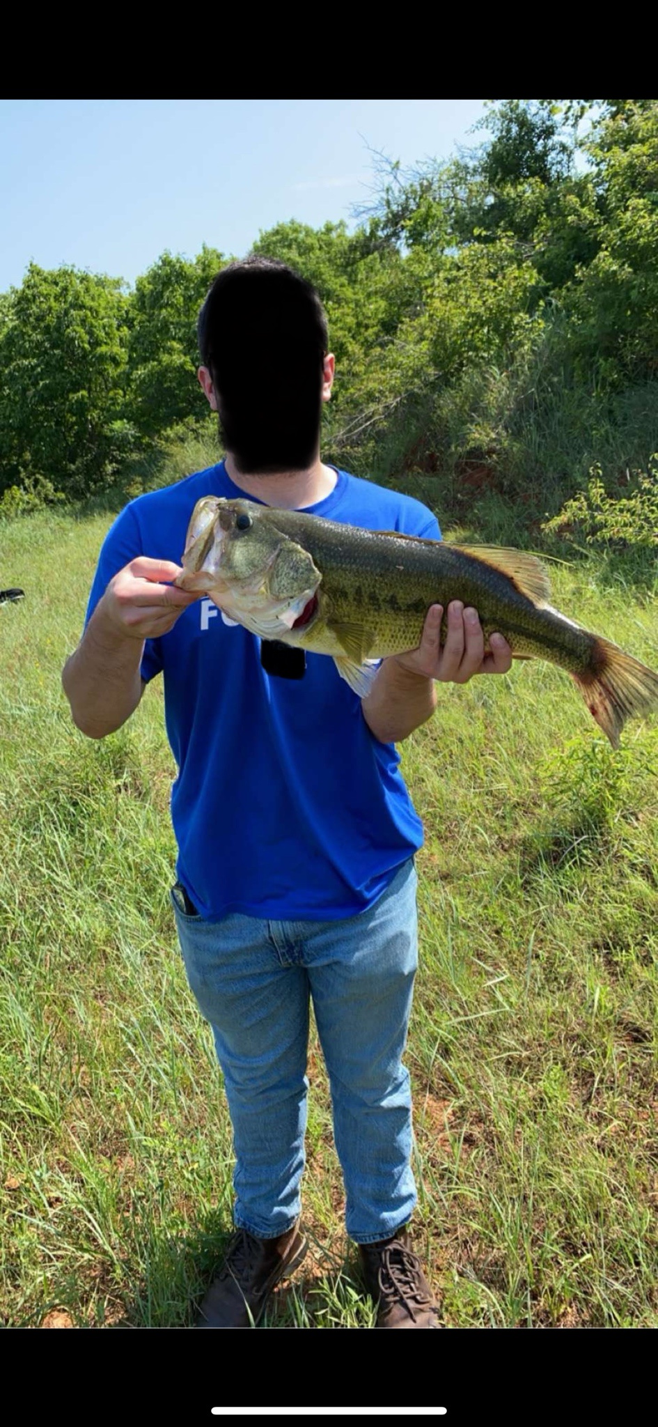 Catching the Big One: My 7.8-Pound Largemouth Bass
