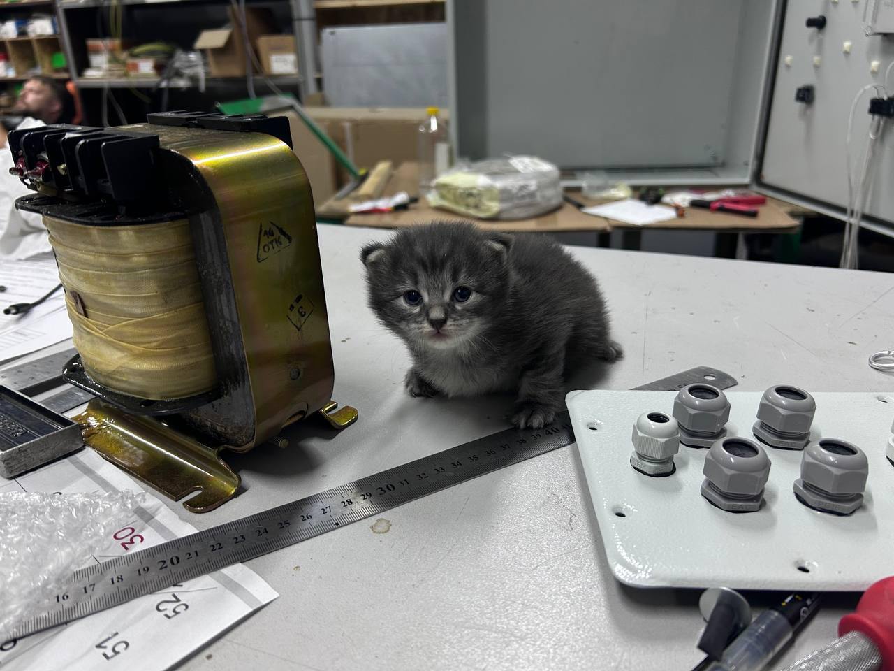 My Little Helper on the Job