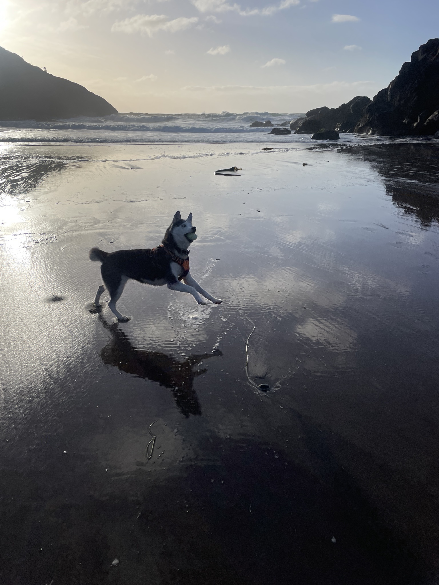 To Statia, My Cherished Companion.