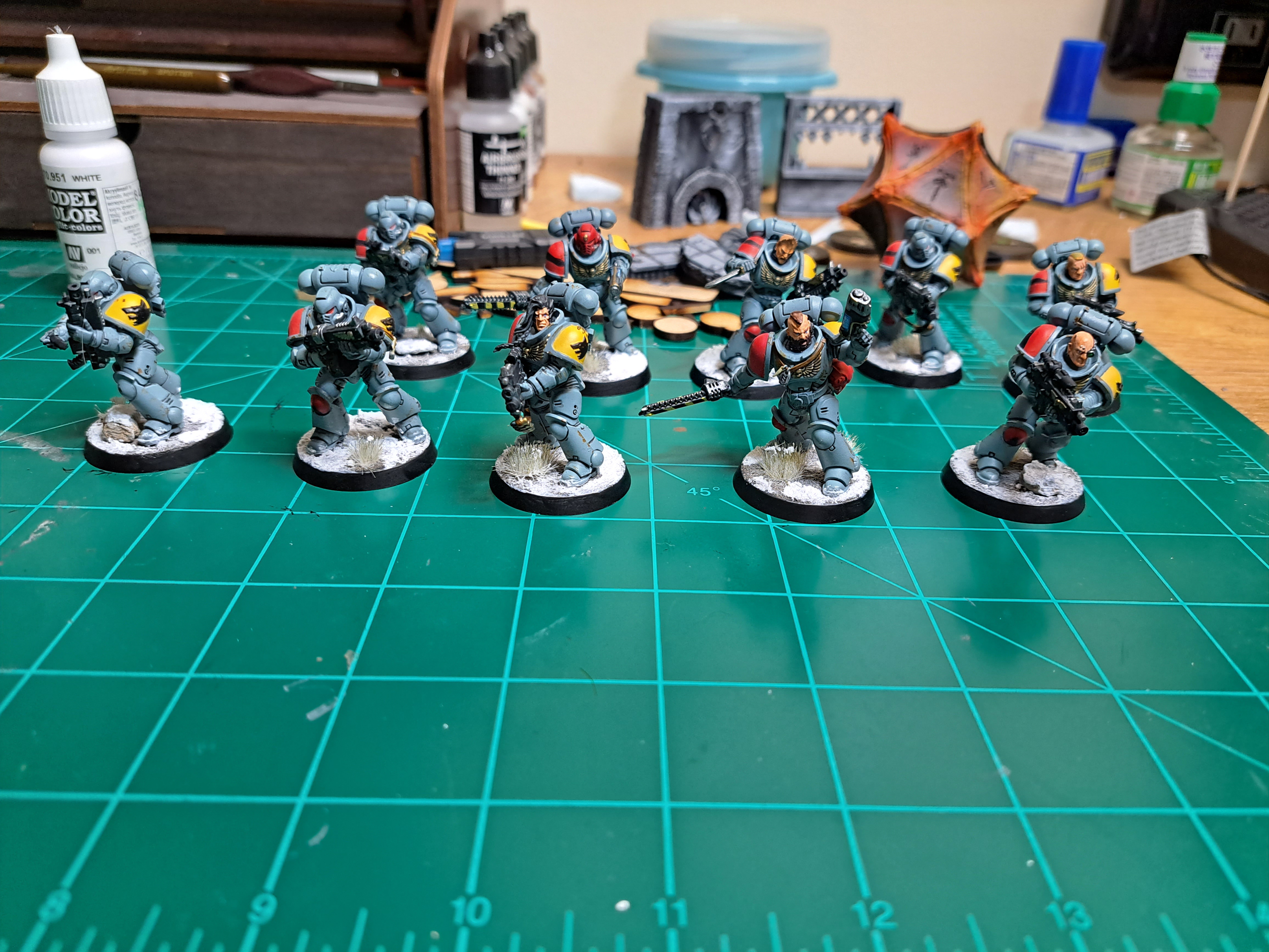 Completed Pictures of the Space Wolves