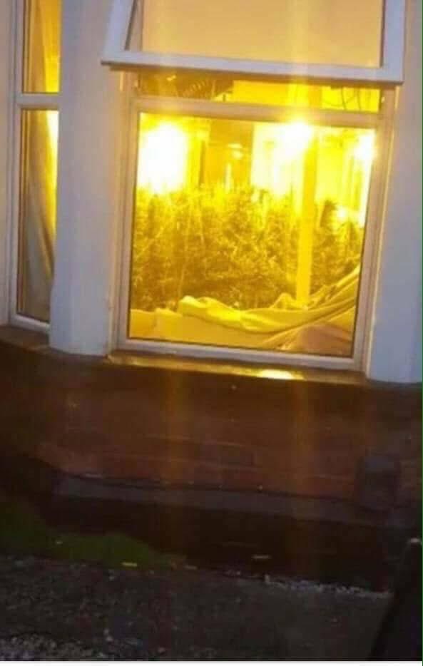 When Your Neighbors' Christmas Lights Shine a Little Too Bright