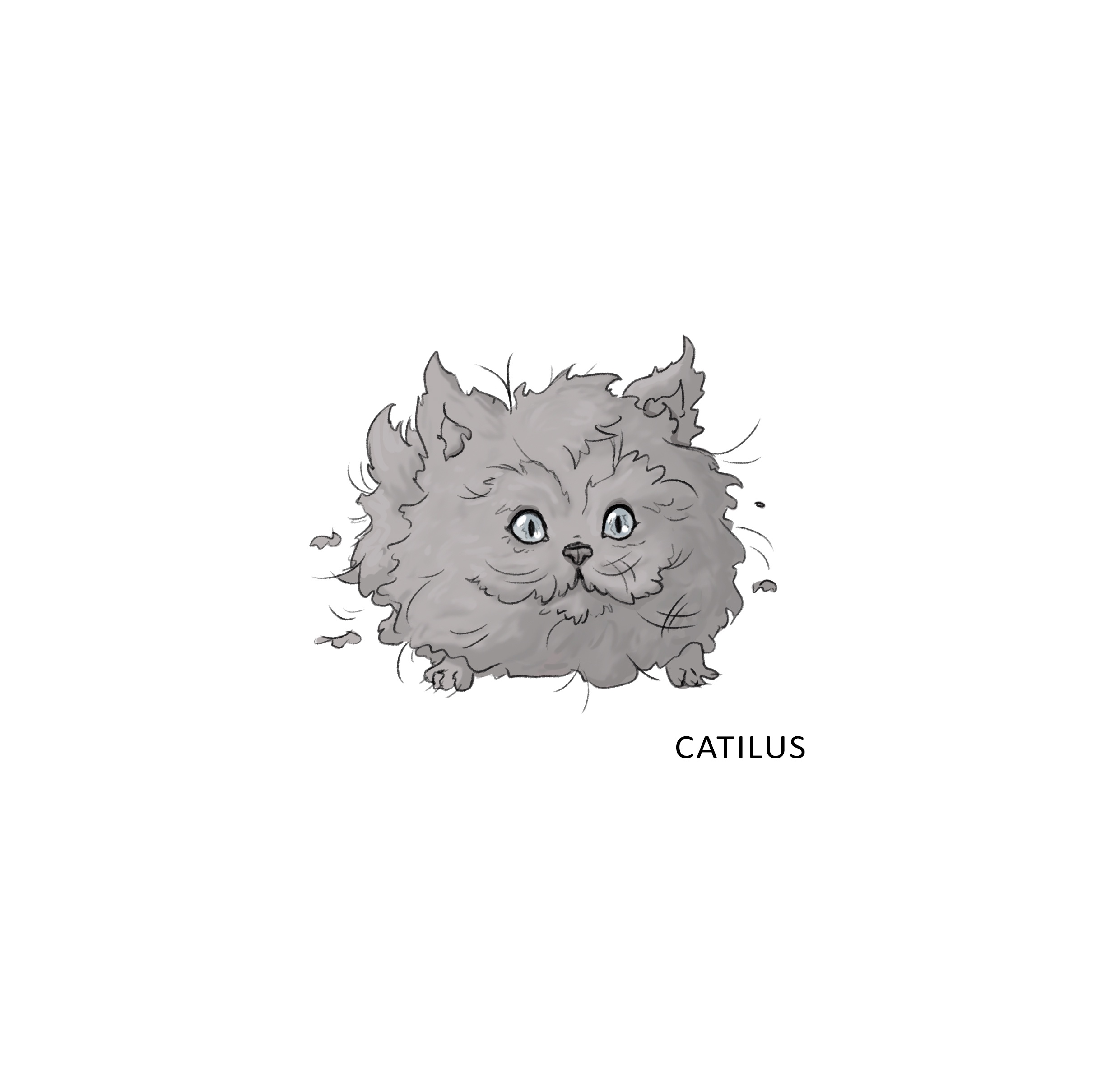 Meet the adorable Dust Kitten – a D&D creature you’ll love!