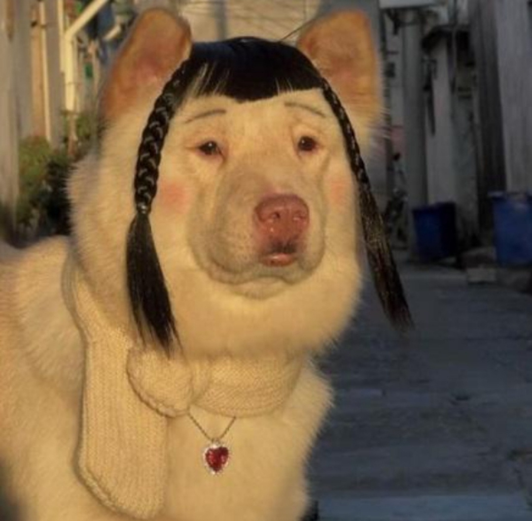 The Doggy Dog: A Furry Adventure